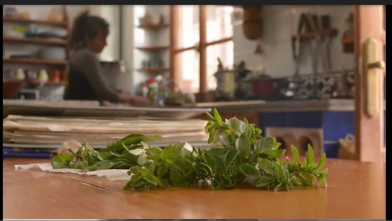 Los mayores de Guadalcázar recopilan más de 50 plantas silvestres comestibles que han sido recogidas en un libro