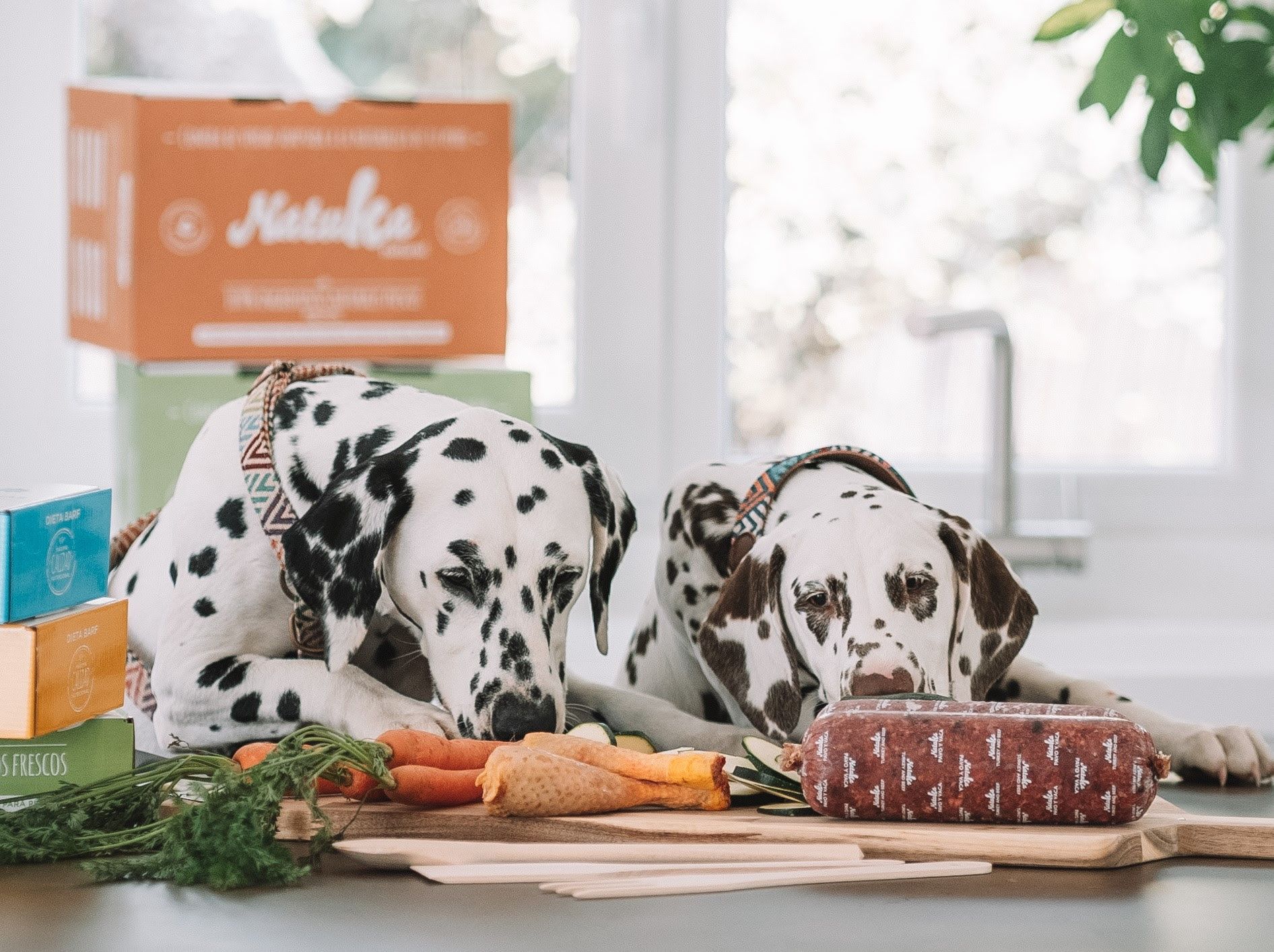 Natuka lleva el concepto ‘realfooding’ al mundo de las mascotas con menús personalizados a domicilio