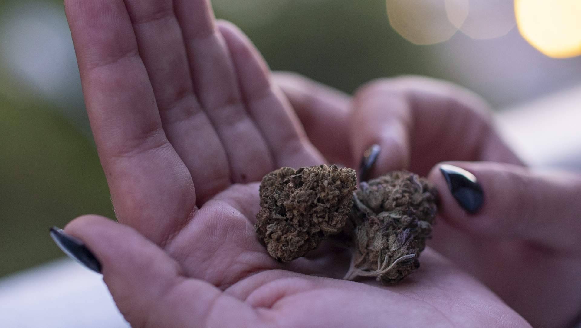 GreenBerry CBD permite tratar la fibriomialgia y la artritis con CBD