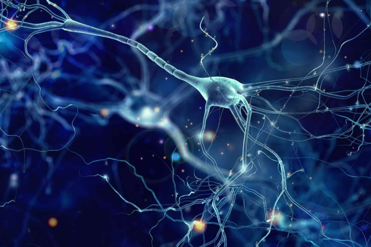 Giunti Psychometrics explica cómo medir la inteligencia de forma no verbal de las personas