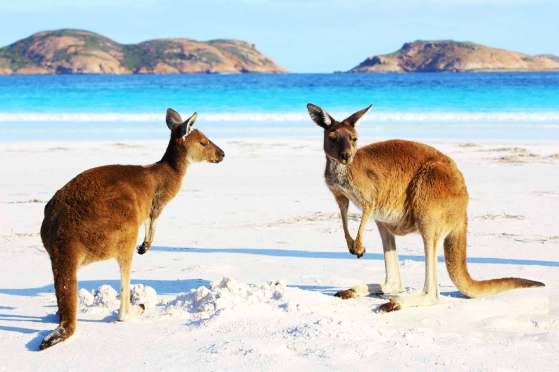 Estudiar inglés en Australia con Australia Study España