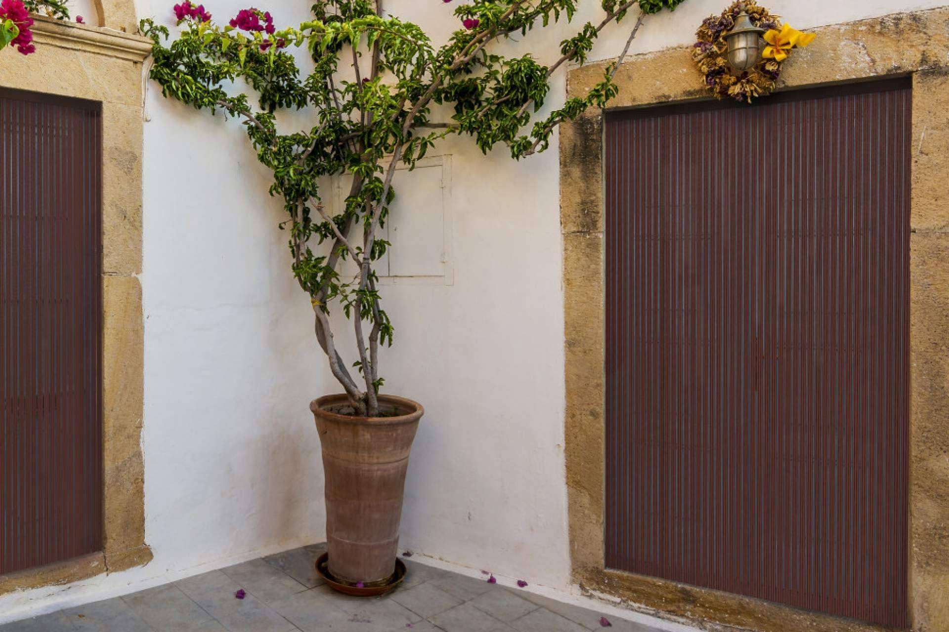 Cortinas antimoscas, la solución decorativa y económica que ofrece Mosquiteras Baratas para impedir la entrada de insectos
