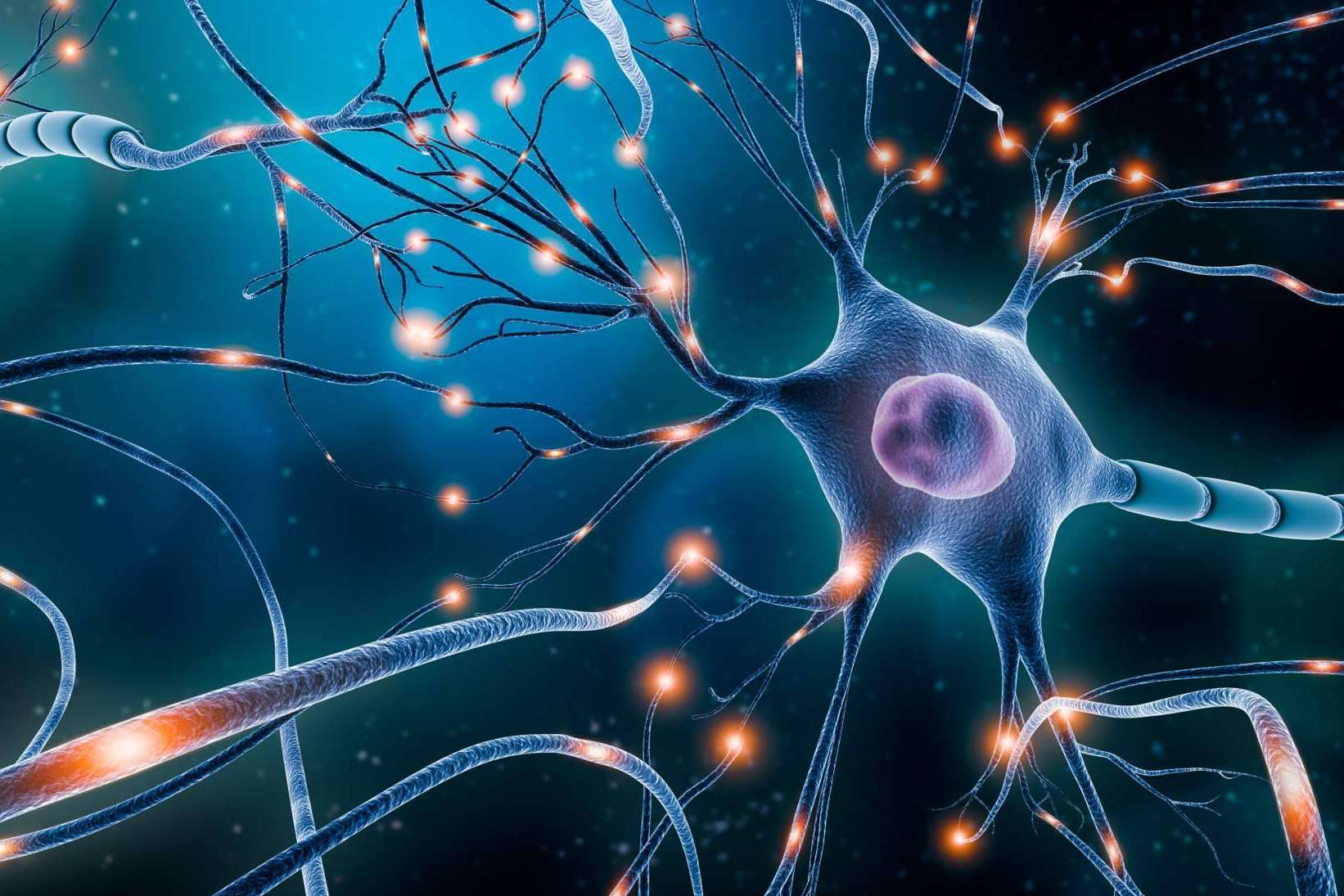 ¿Cuáles son los mitos del neuromarketing? ANE International los identifica