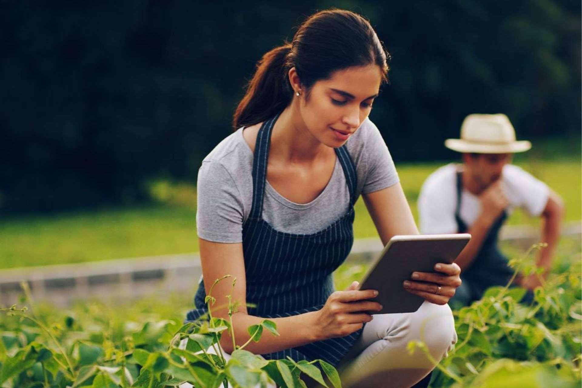 La ONG que convierte proyectos sociales latinoamericanos en empresas sociales con proyección en Europa, Share to Change