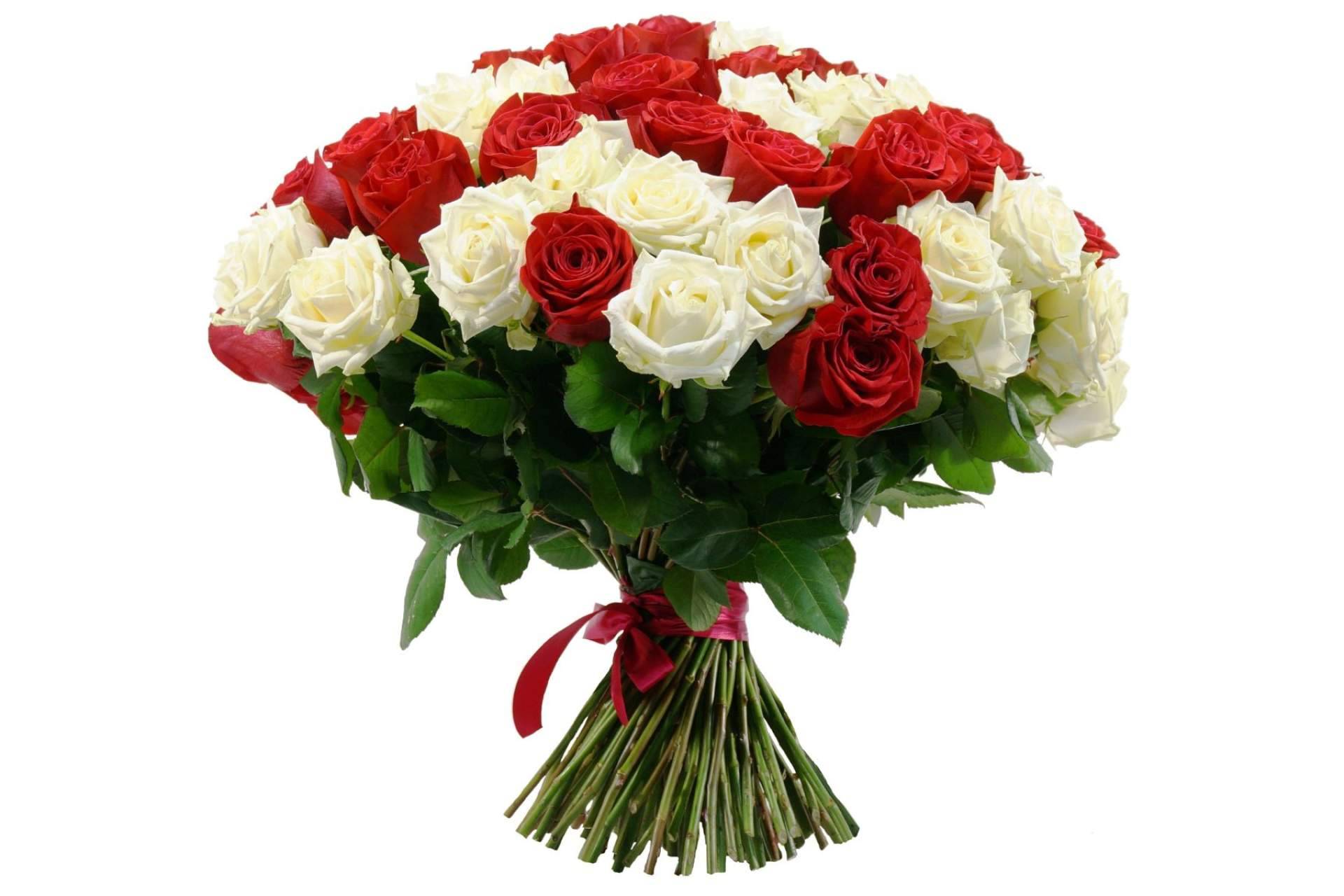 Ocasiones especiales para regalar un ramo de rosas blancas y rojas, con Rosistirem
