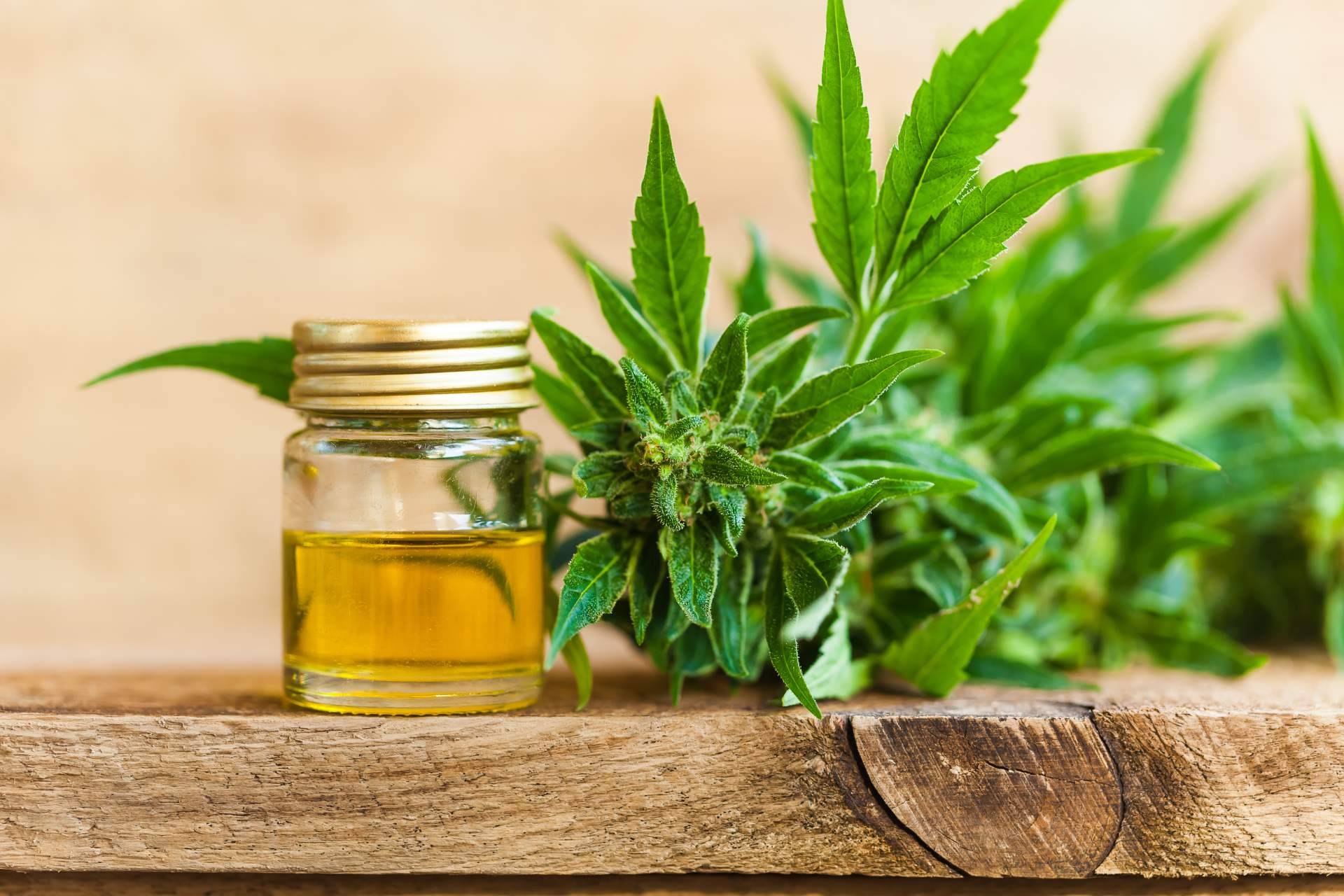 ¿Cuáles son los beneficios de los diferentes tipos de aceites CBD?, por Kannamon CBD Marketplace