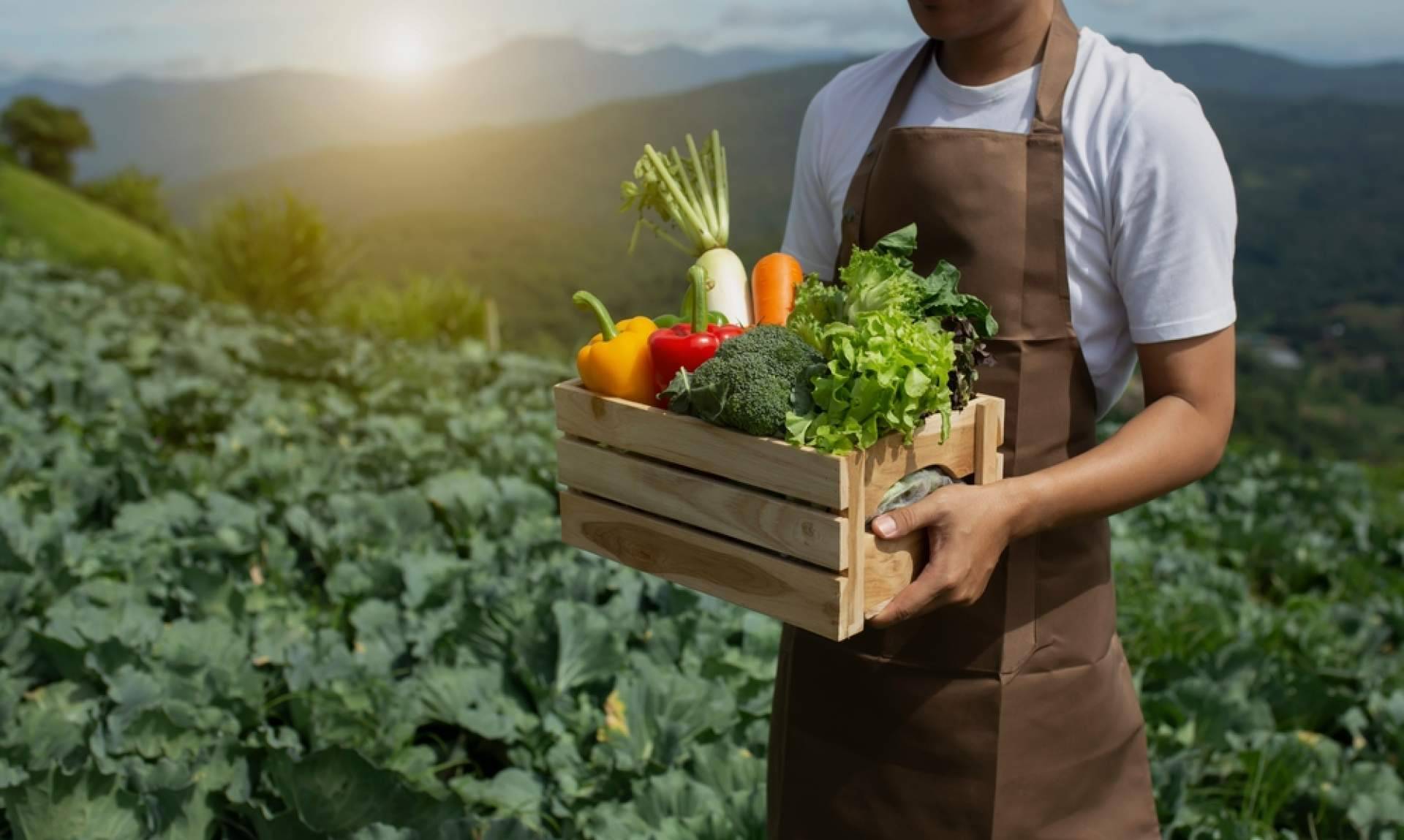 ¿Cómo son los productos orgánicos de la marca de Budi Folo?
