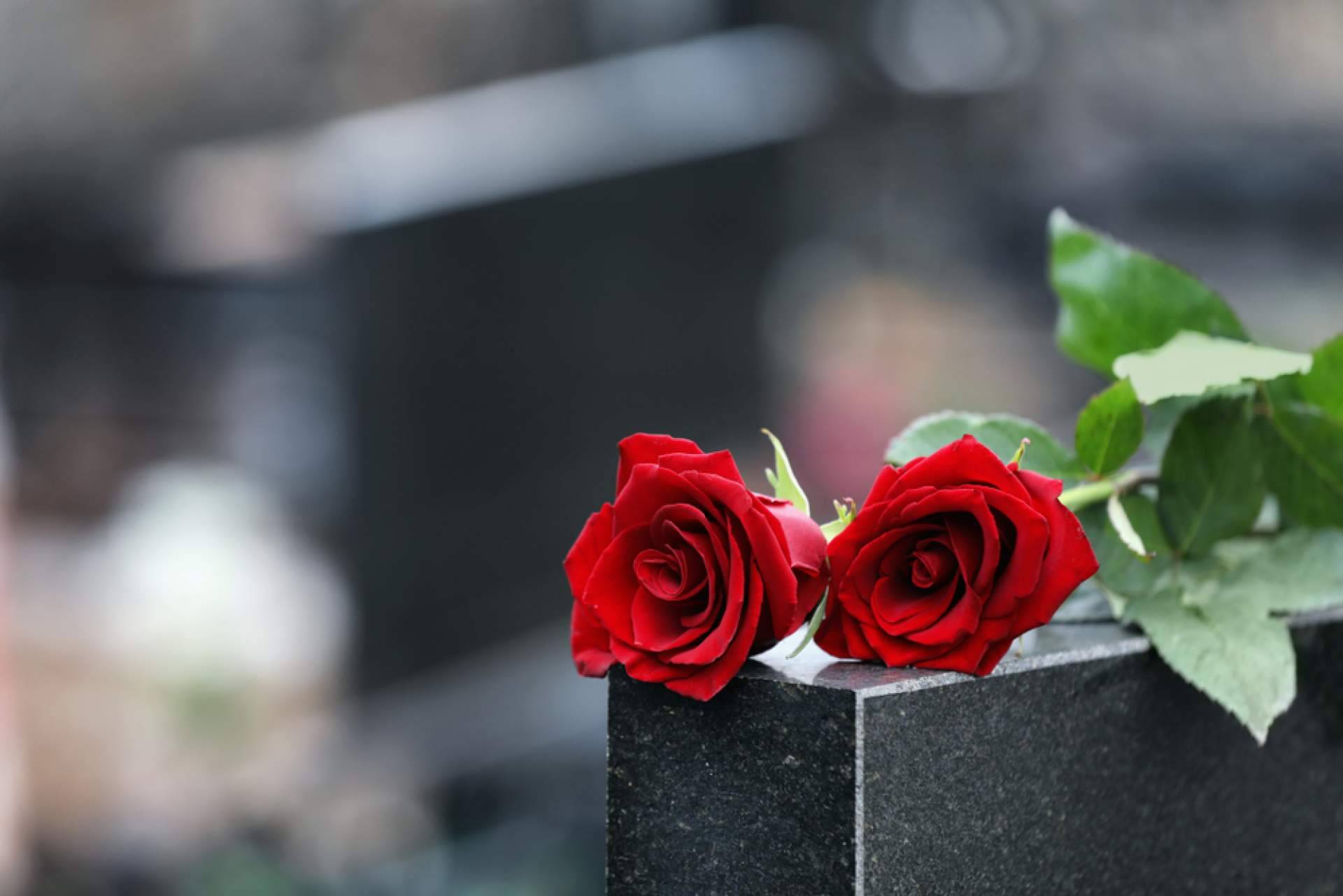 ¿Cómo diferencia de la competencia tener un buen ERP de gestión funeraria?