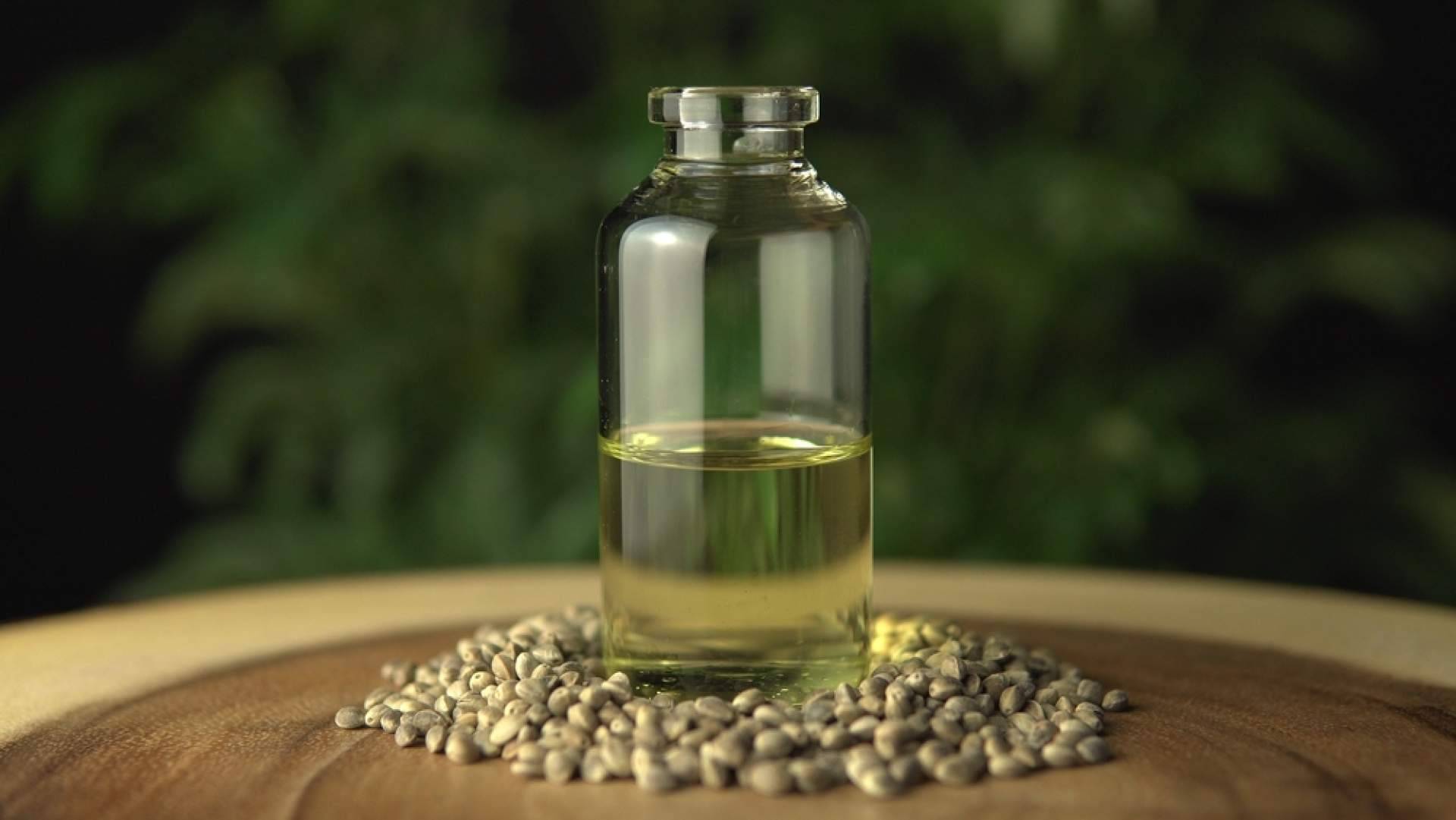 HerbieSeeds es una de las marcas líderes en la venta de semillas de marihuana en España