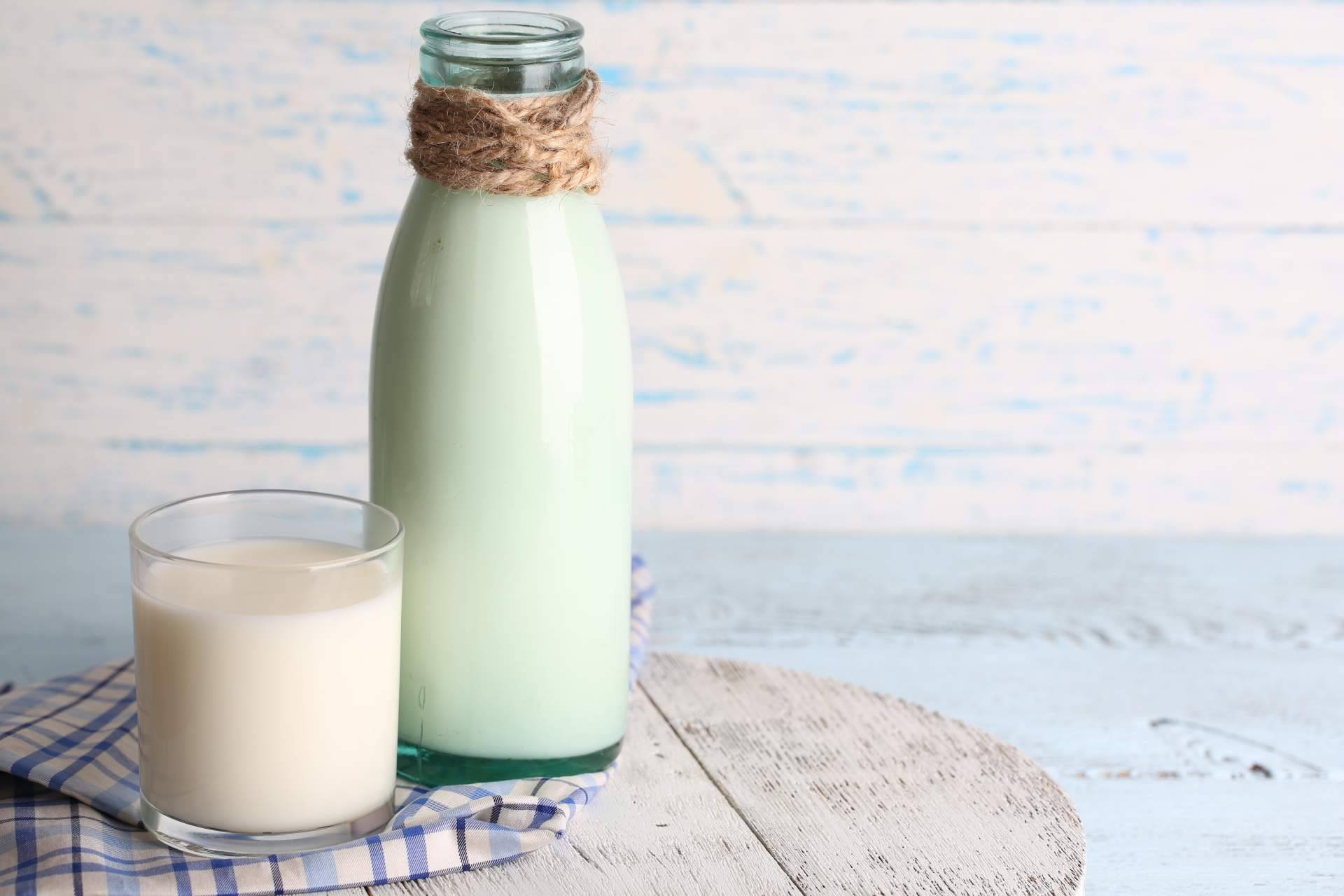 eQuaid presenta nuevas fórmulas que maximizan los beneficios de la leche de yegua