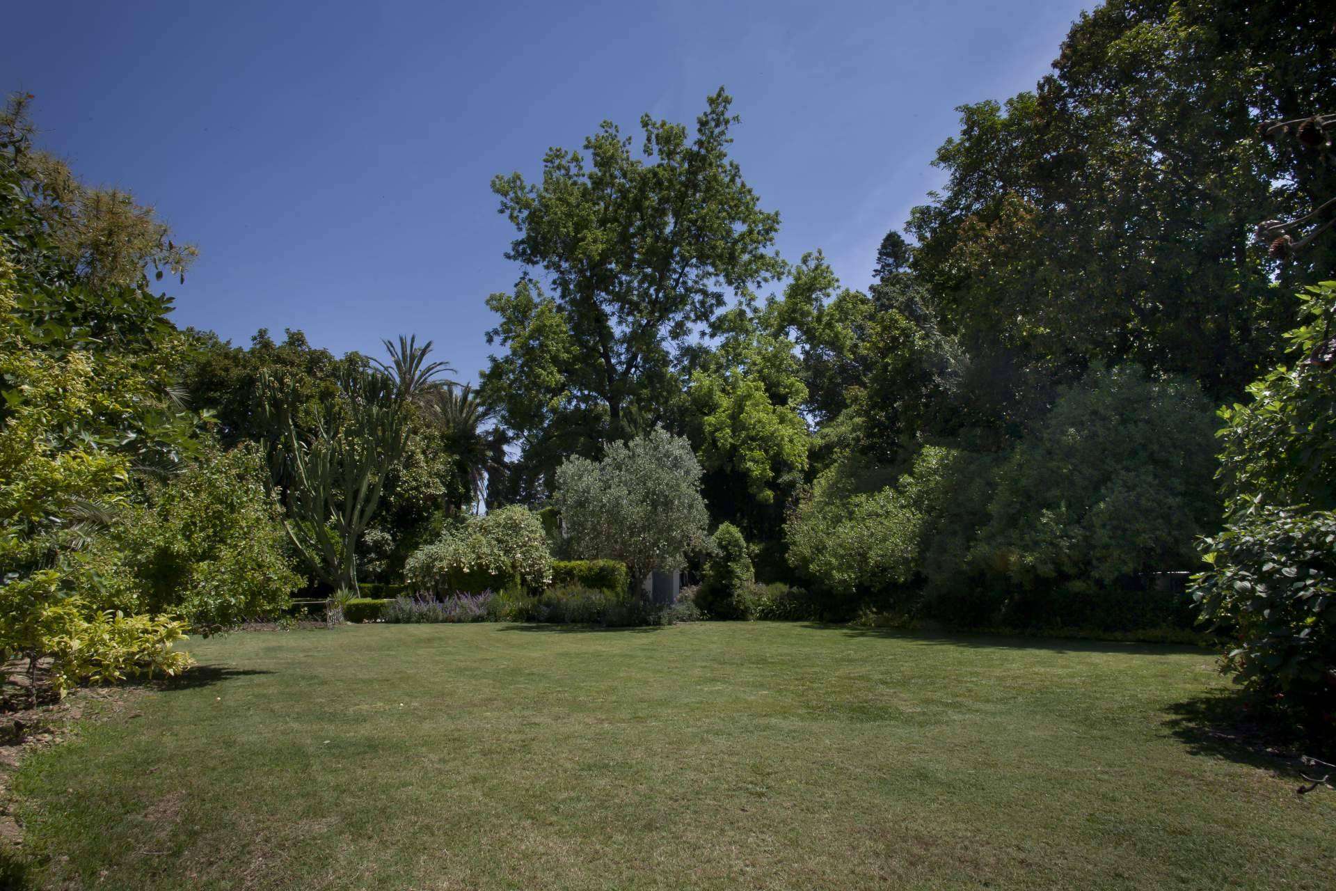 Ahora es posible adquirir la Hacienda San Javier y su mobiliario a través de una subasta
