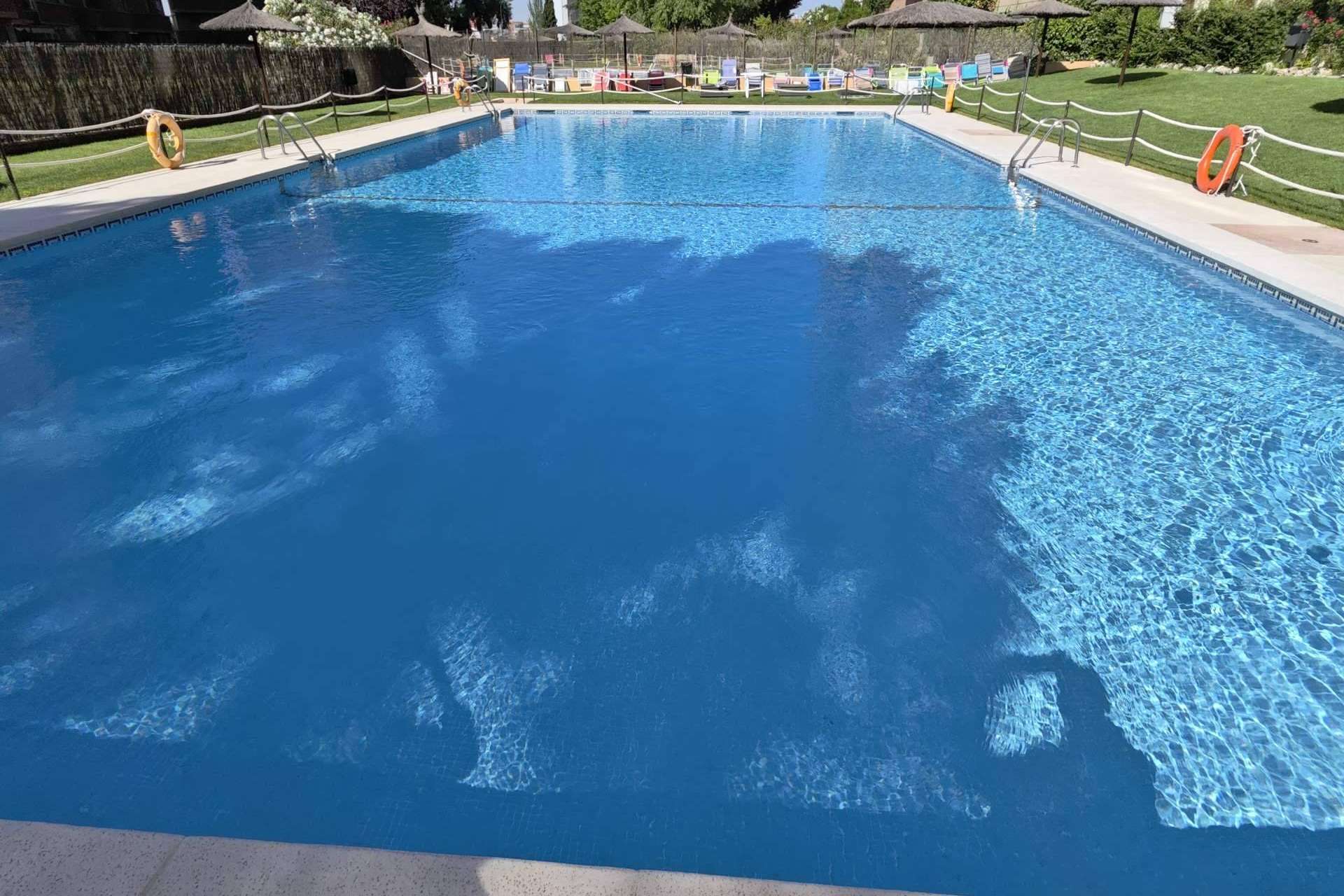 El sistema de PoolTiger para disfrutar de una piscina sin la necesidad de productos químicos