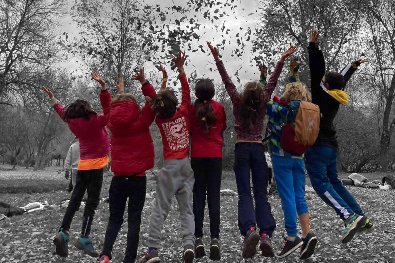 Fundación Escuela IDEO y Escuela IDEO organizan un Congreso basado en Educación Saludable