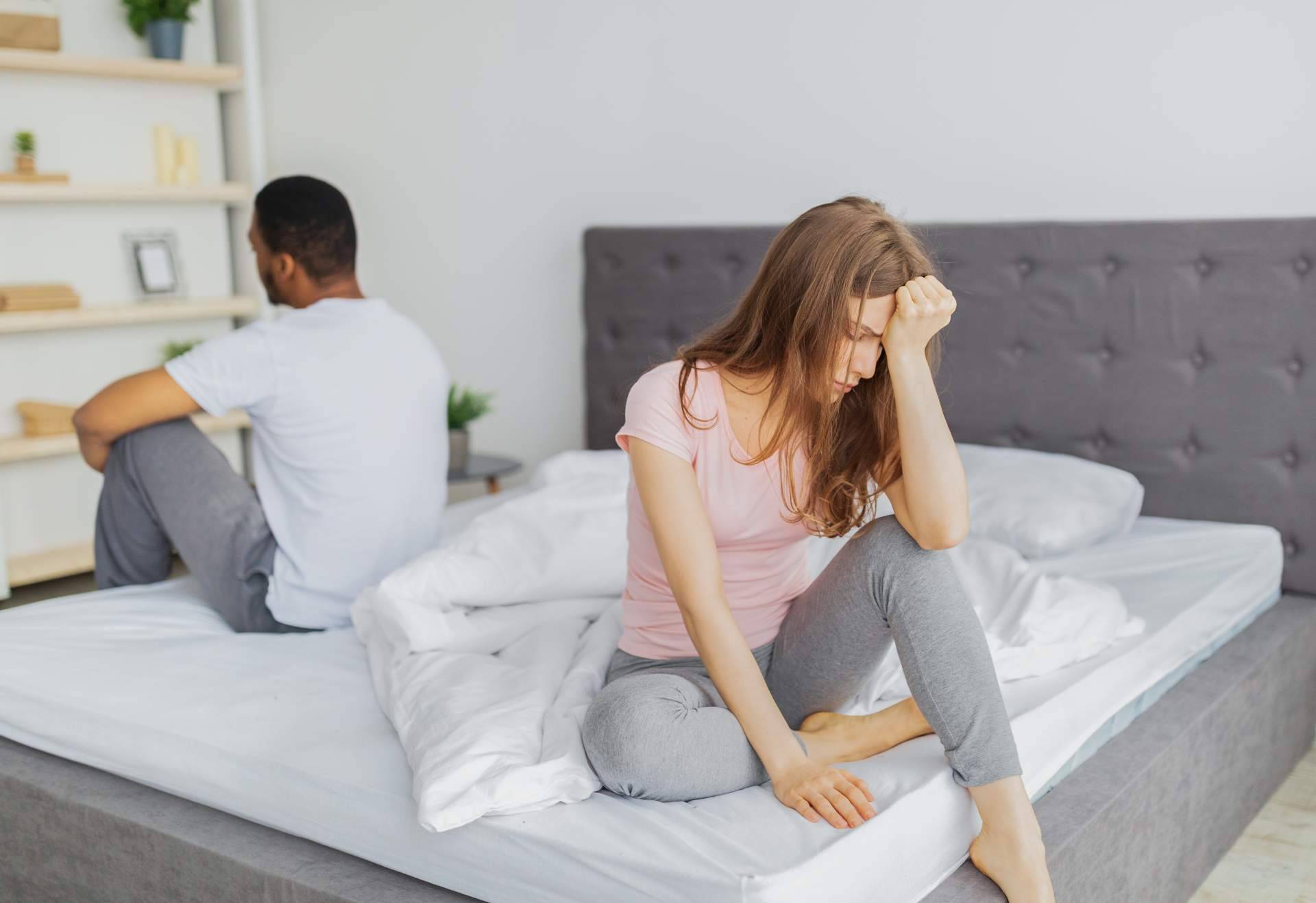 La custodia de las mascotas en divorcios, un dilema legal y emocional