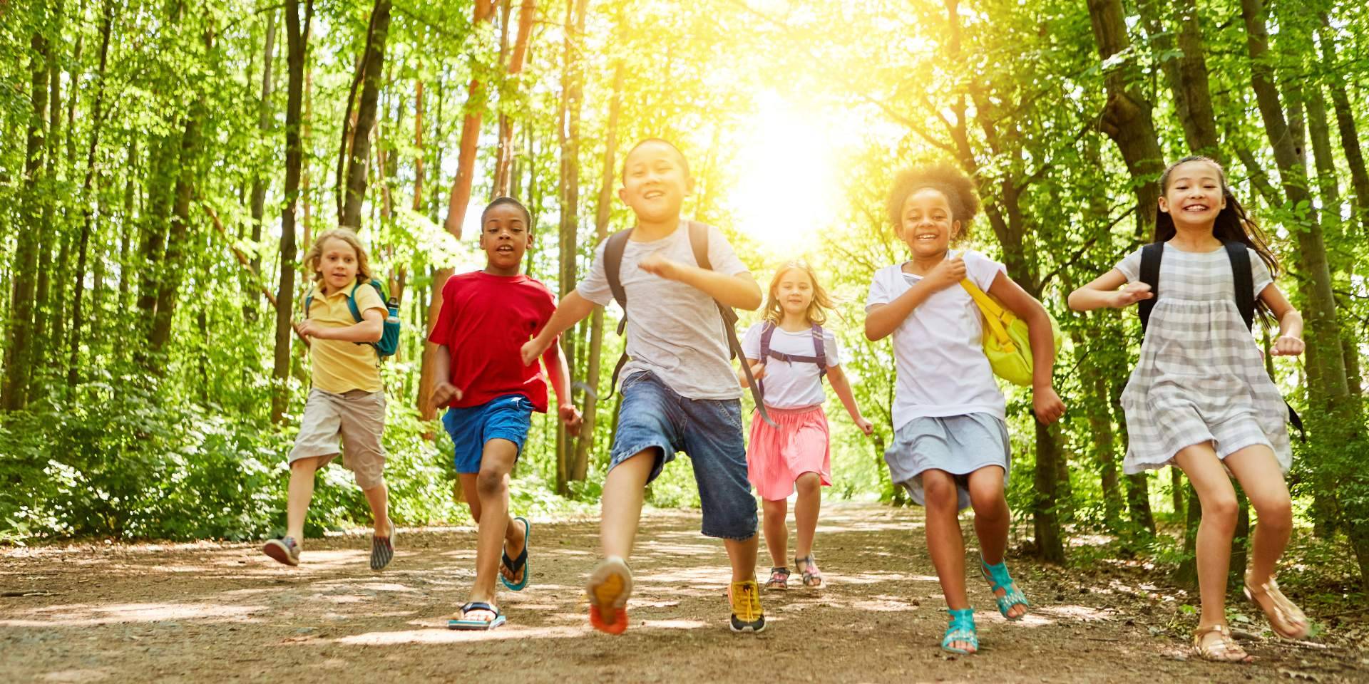 Por qué los campamentos de verano son experiencias recreativas y educativas