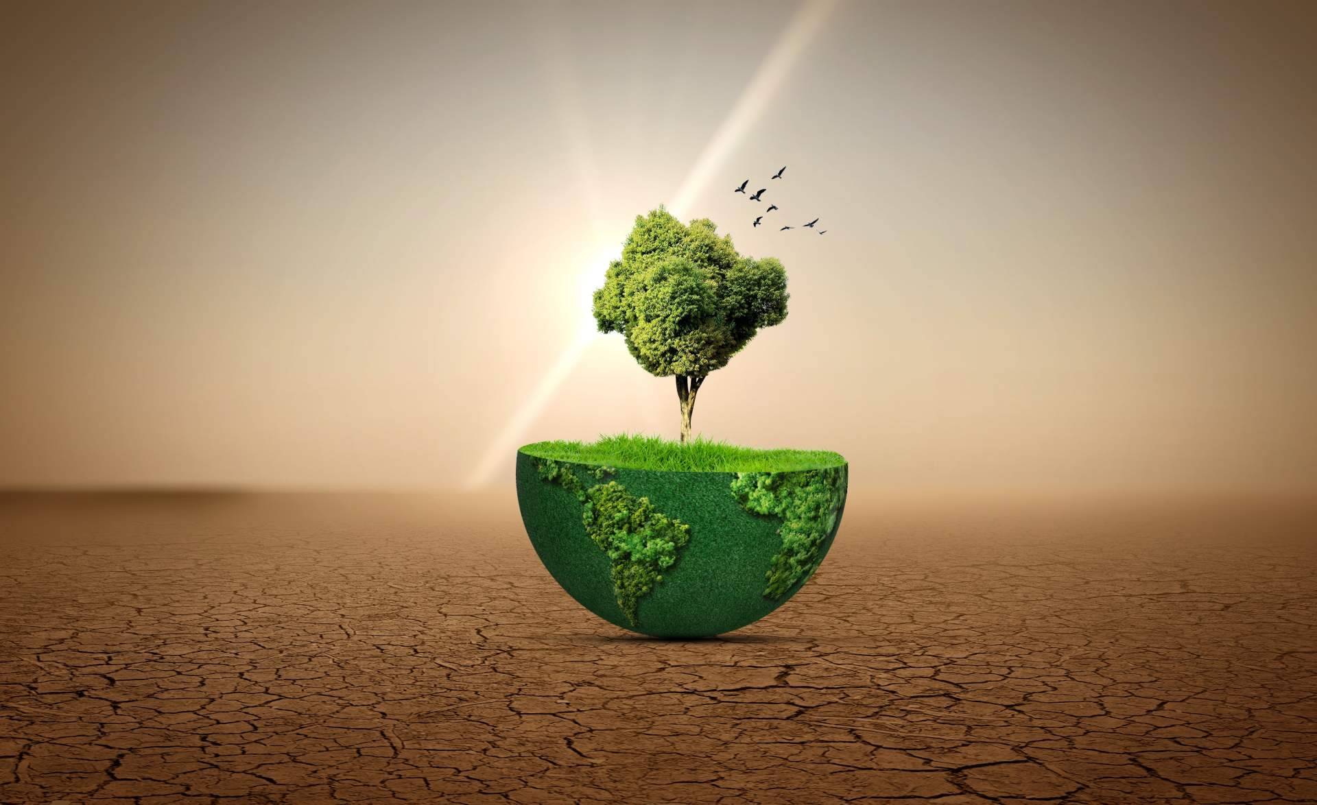 Ecológico + Medio Ambiente = Salud! La fórmula del Bienestar de Grattitude.es