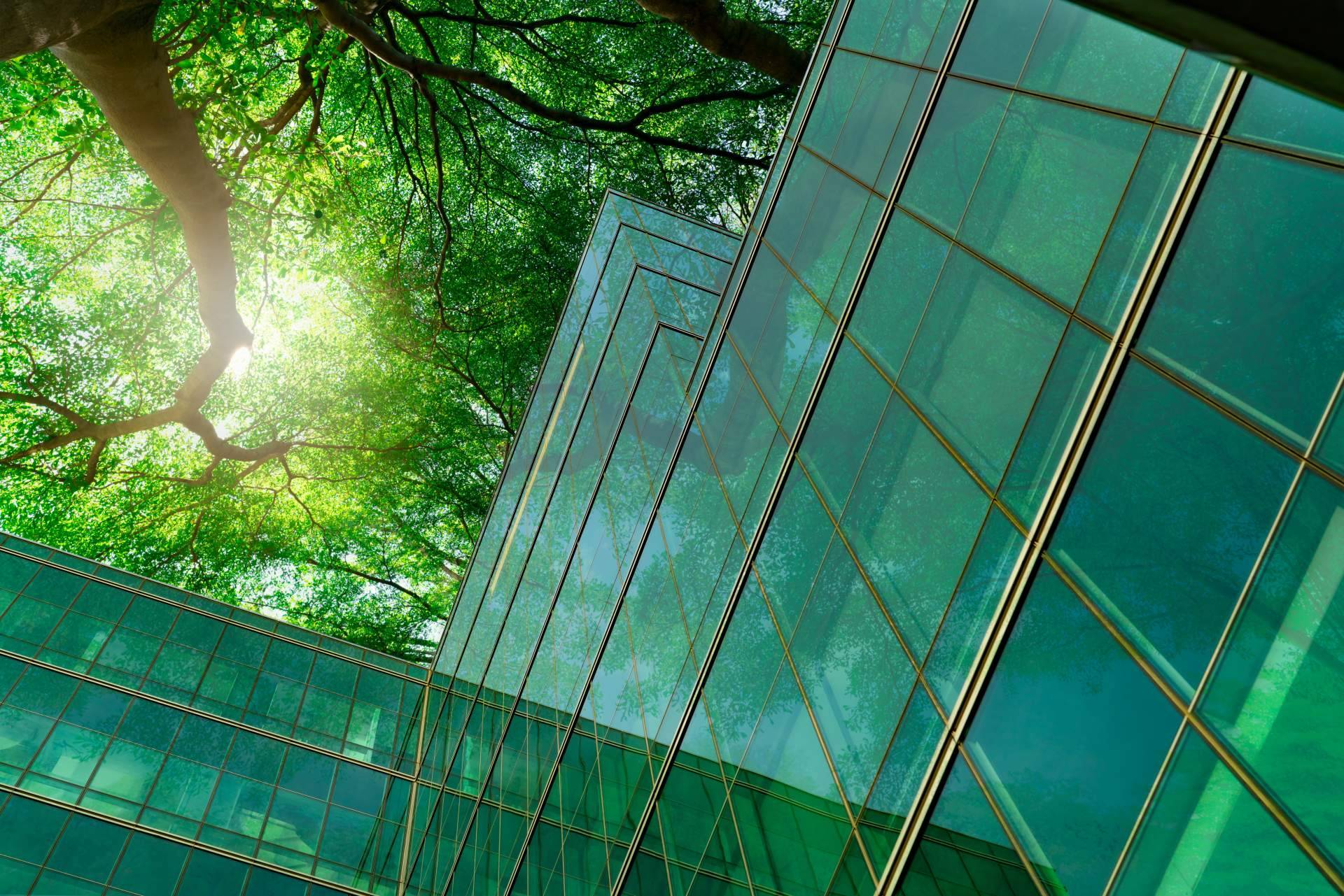 Multienergía Verde, pionera en ecoeficiencia para un futuro más limpio