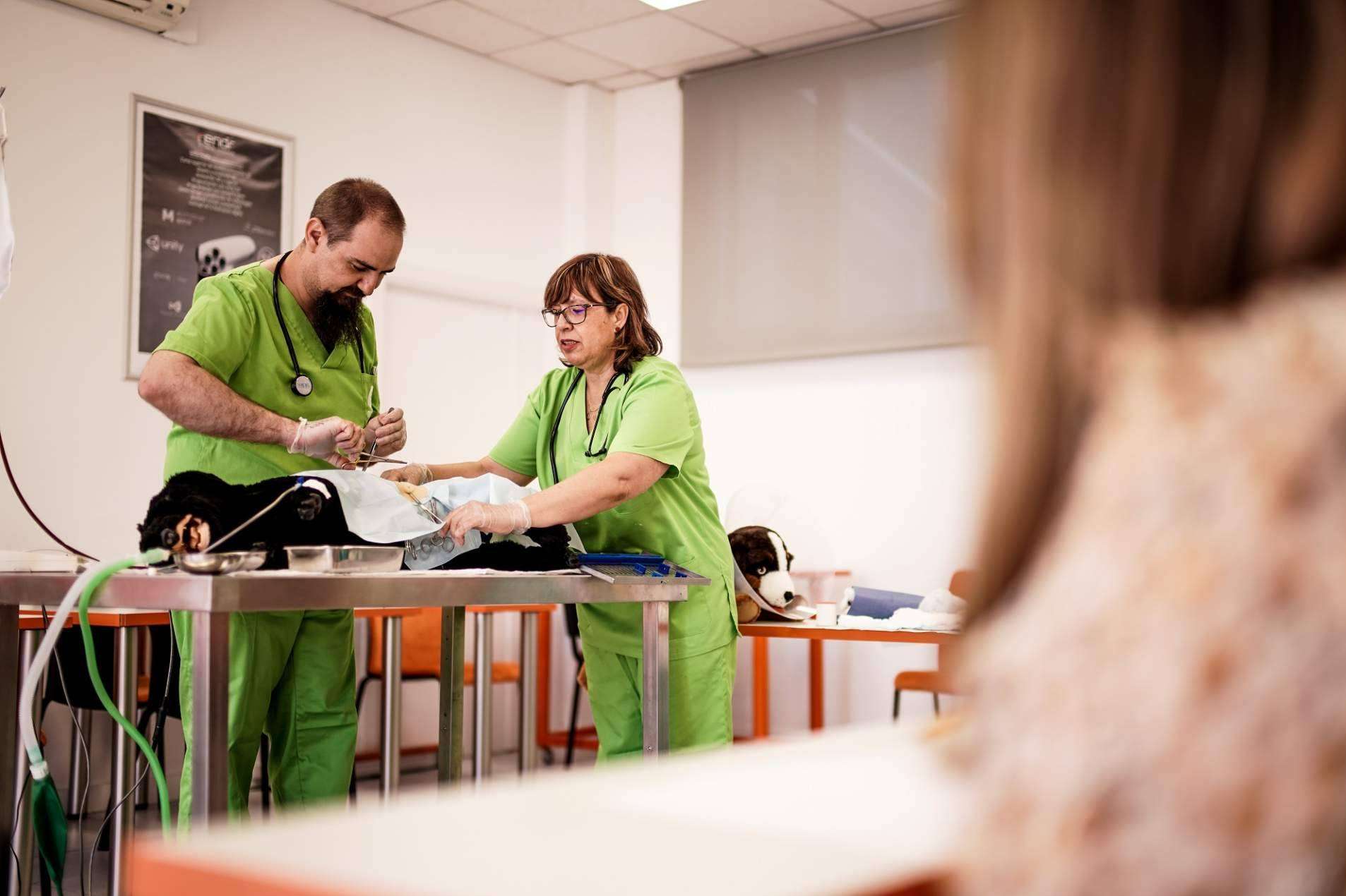 Convertir el amor por los animales en profesión, con los cursos de veterinaria online de MasterD