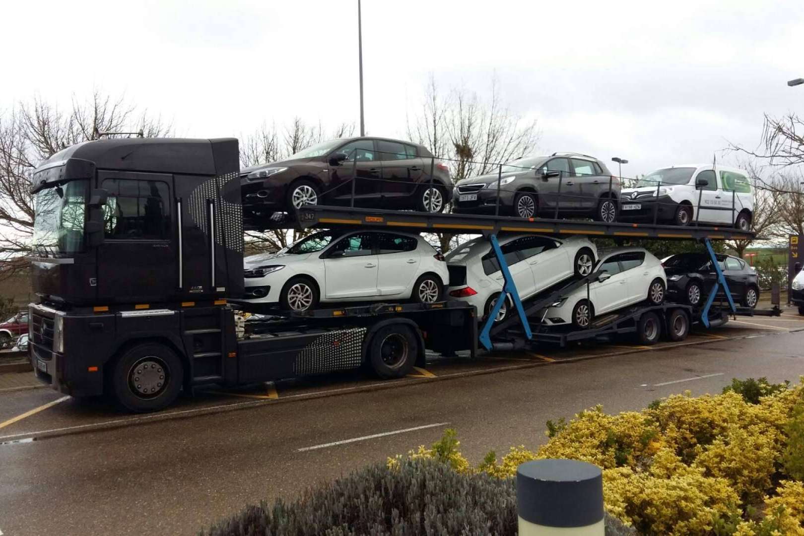 Alicotrans es una cooperativa busca reducir la cadena de transporte y mejorar las ganancias