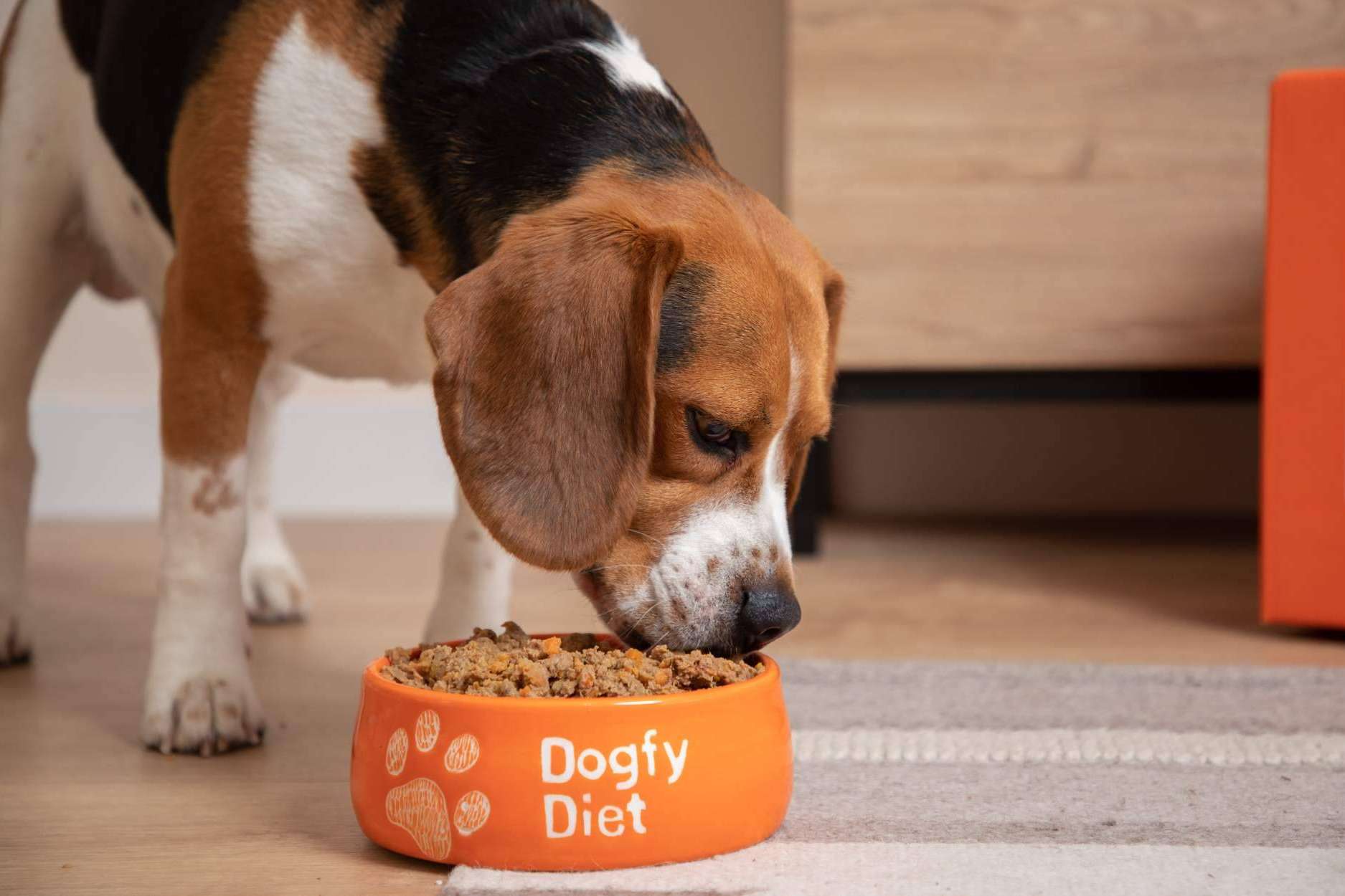 Beneficios de la comida natural para perros de Dogfy Diet