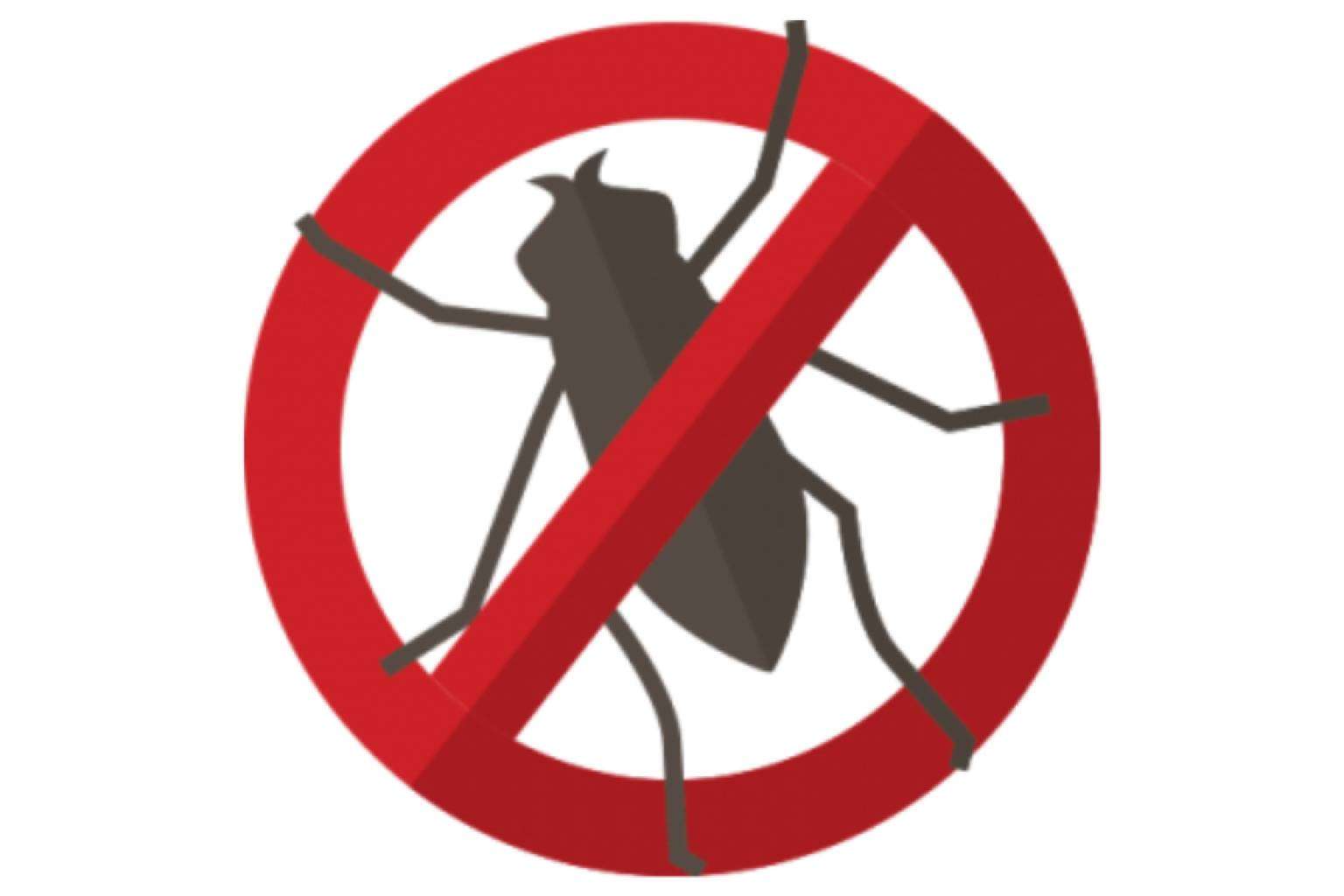DMR Control de Plagas, empresa especializada en el exterminio de la cucaracha de las cocinas
