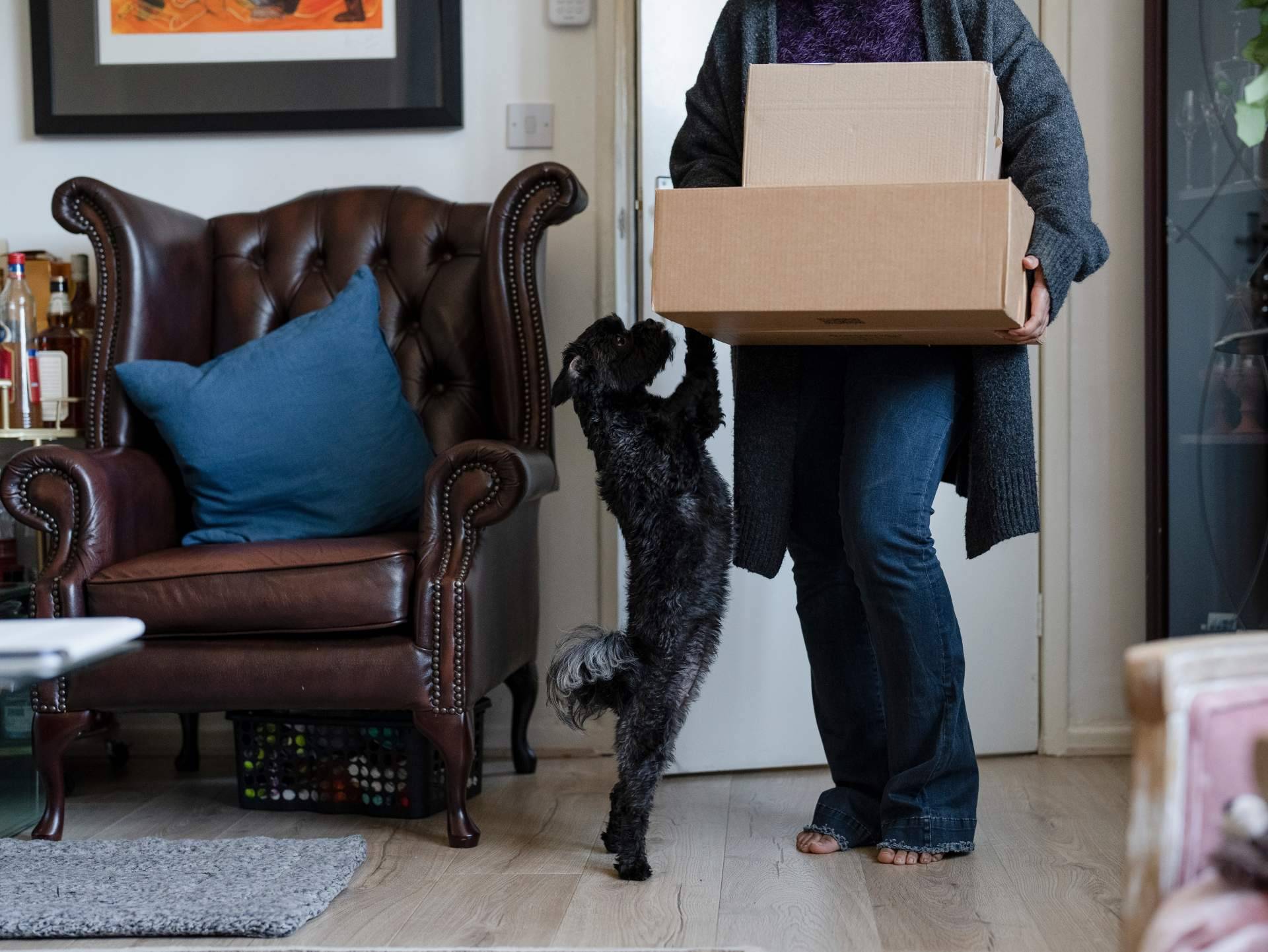 Los beneficios de comprar pienso a domicilio con Feed&Go