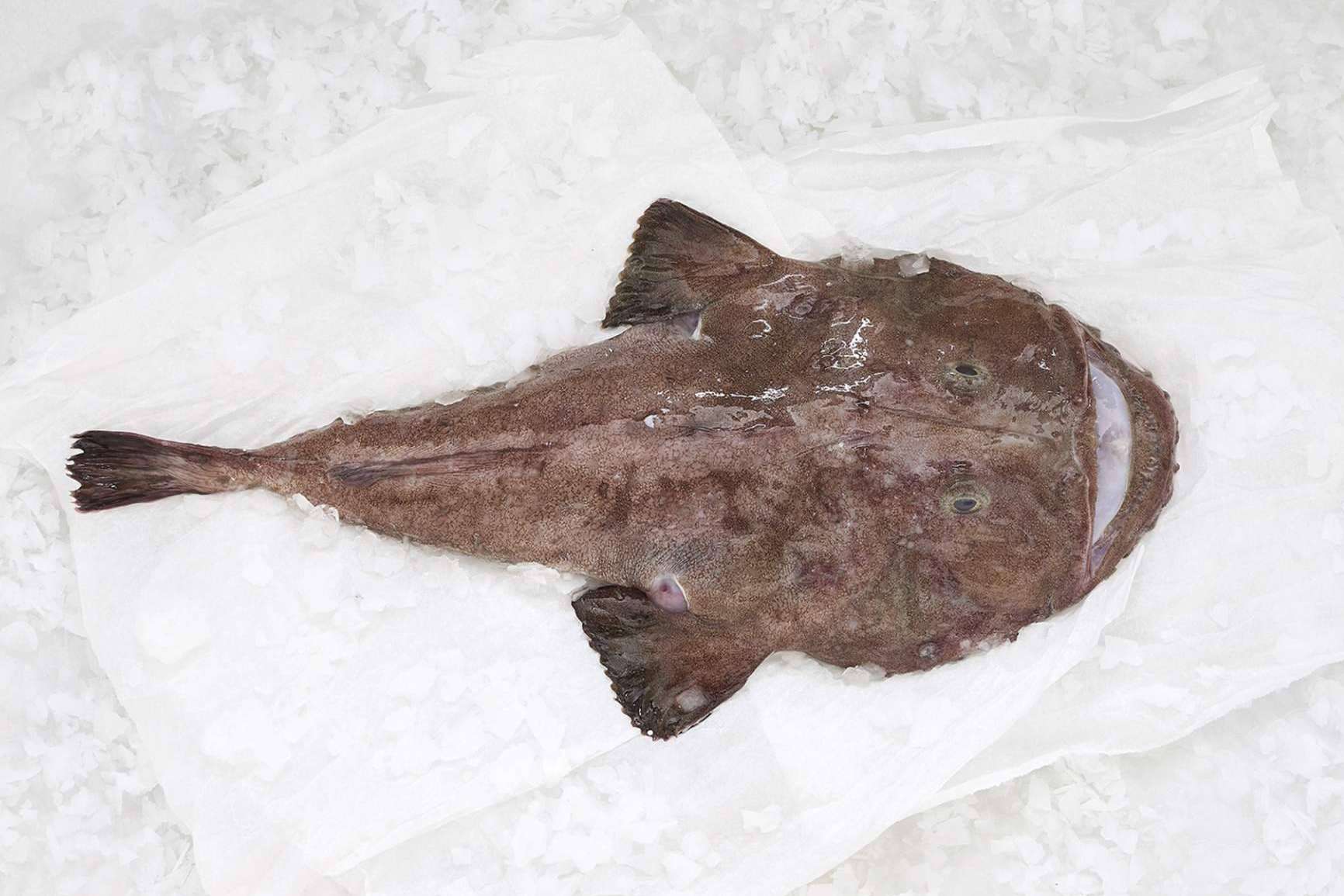 El pescado blanco, una de las mejores elecciones para volver a la rutina saludable tras las vacaciones