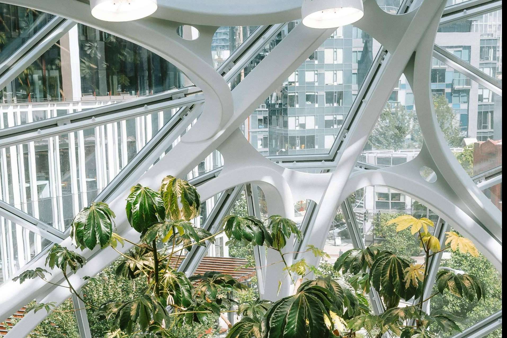 Iluminación y Feng Shui, gracias a Chiyc