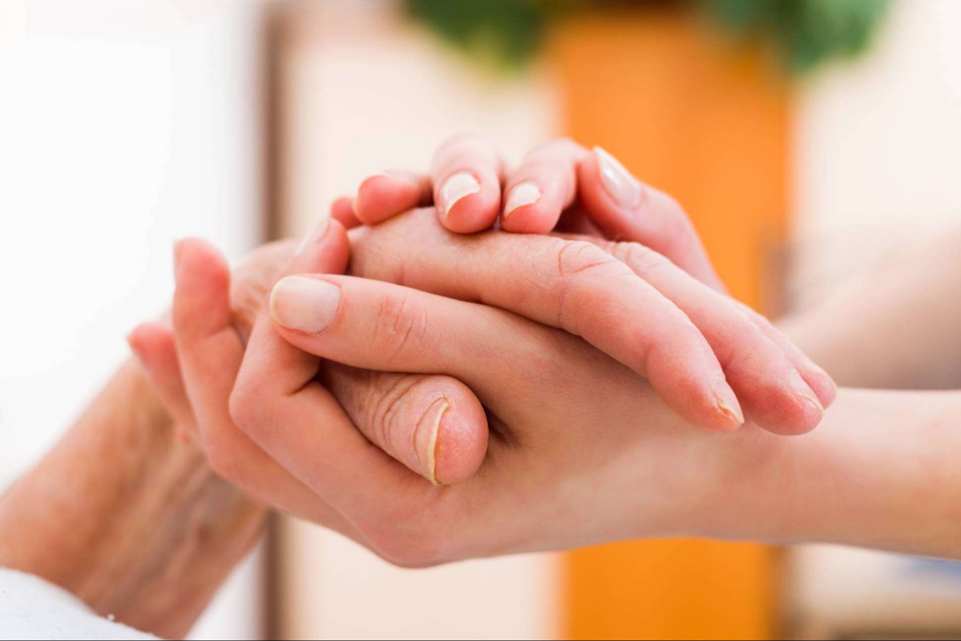 Gestoría social especializada, tramitación de beneficios por dependencia y discapacidad