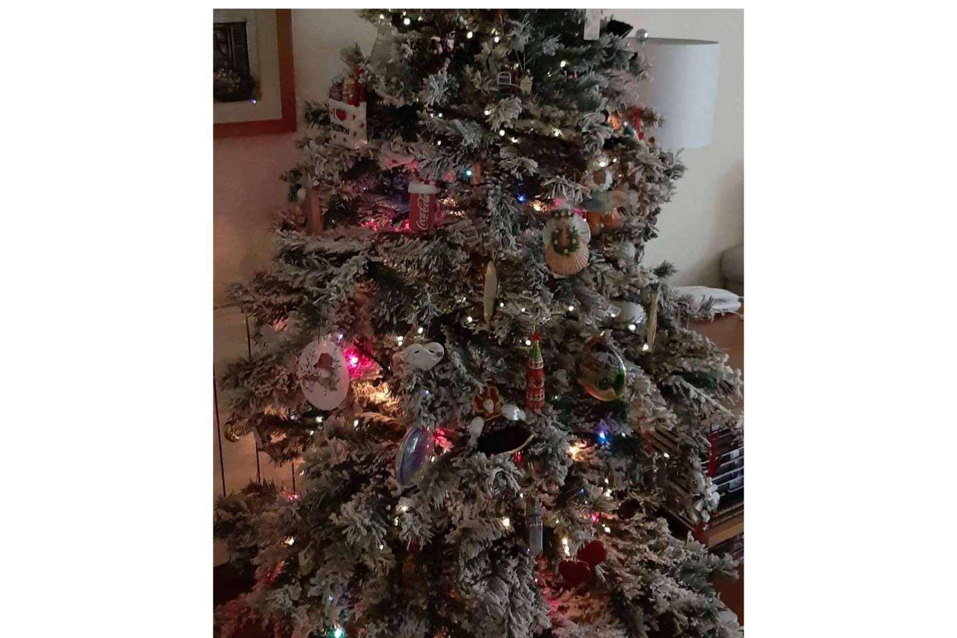 Navidad y cuentos, xmastreefriends quiere reunir a niños y niñas amigos del árbol navideño