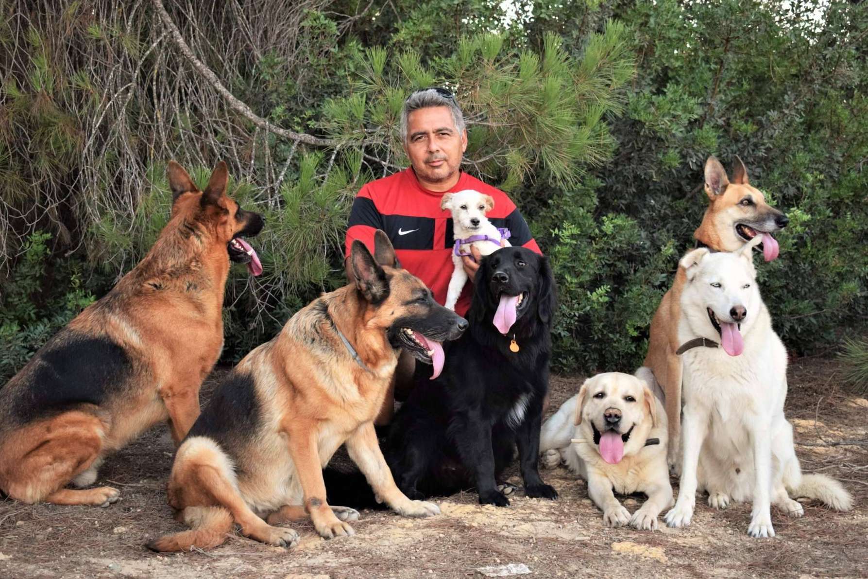4EverDogs lanza un curso de educación canina basado en el Método Natural Leading