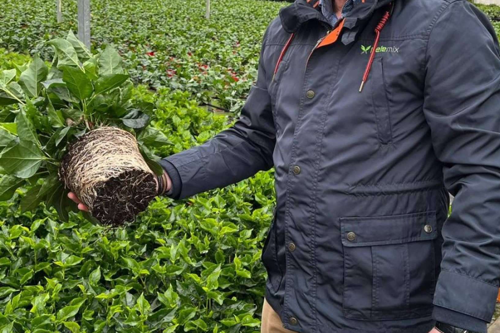 Viveros 2024, soluciones eficientes de Pelemix para semilleros productivos