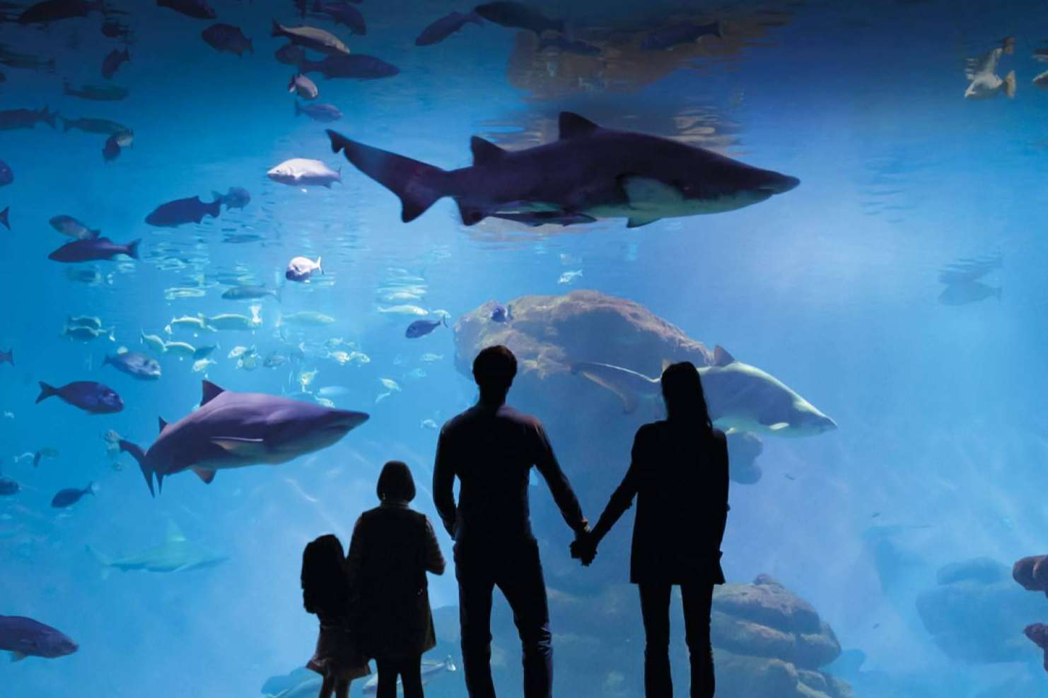 Un año más, Palma Aquarium celebra su gran fiesta benéfica 'Yo También' a favor de la Fundación Respiralia