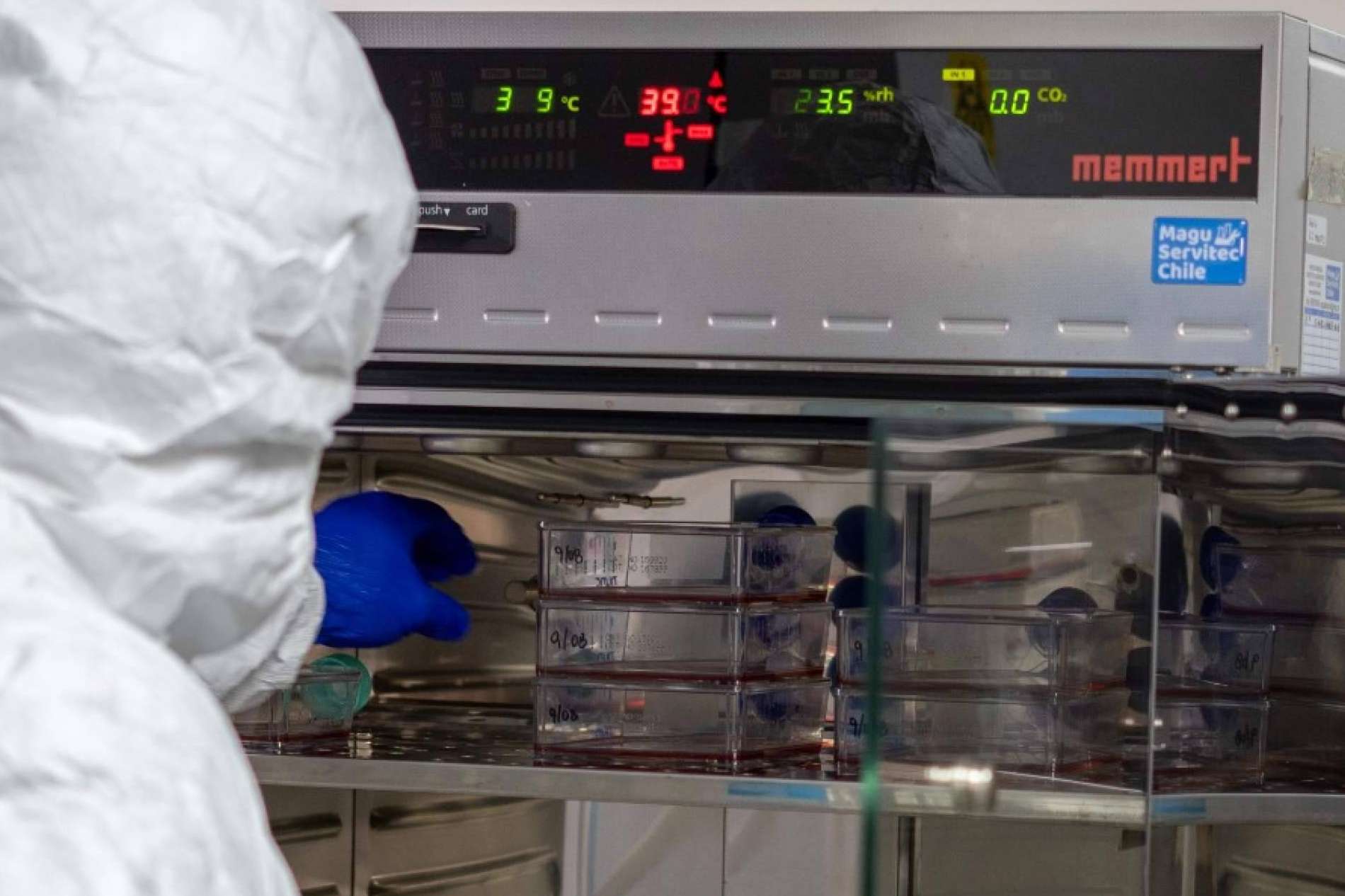 Oncovix, el programa de inmunoterapia avanzada que revoluciona el tratamiento del cáncer