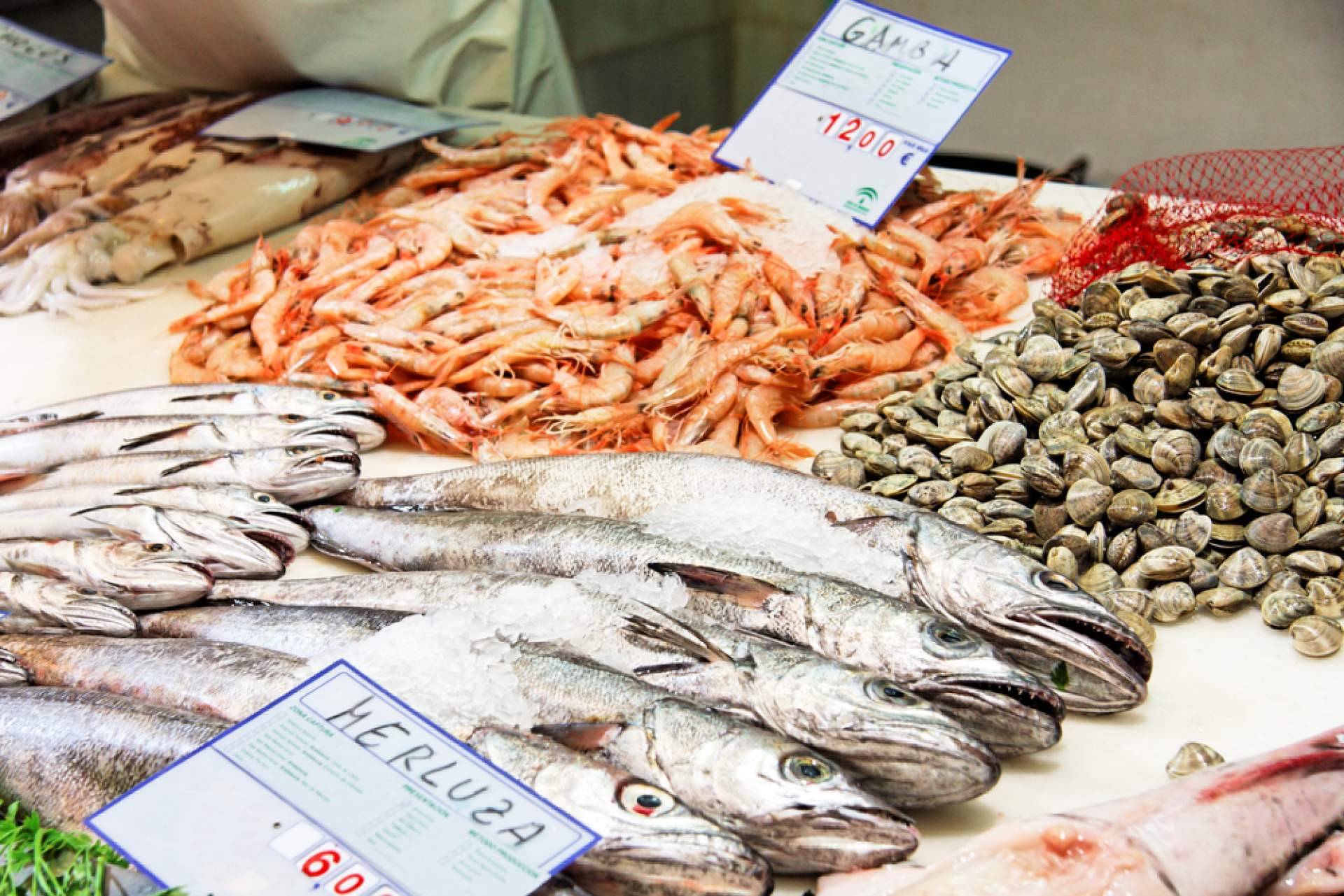 Frescura y calidad en pescados y mariscos, el compromiso de Pescadería Younes Ceuta