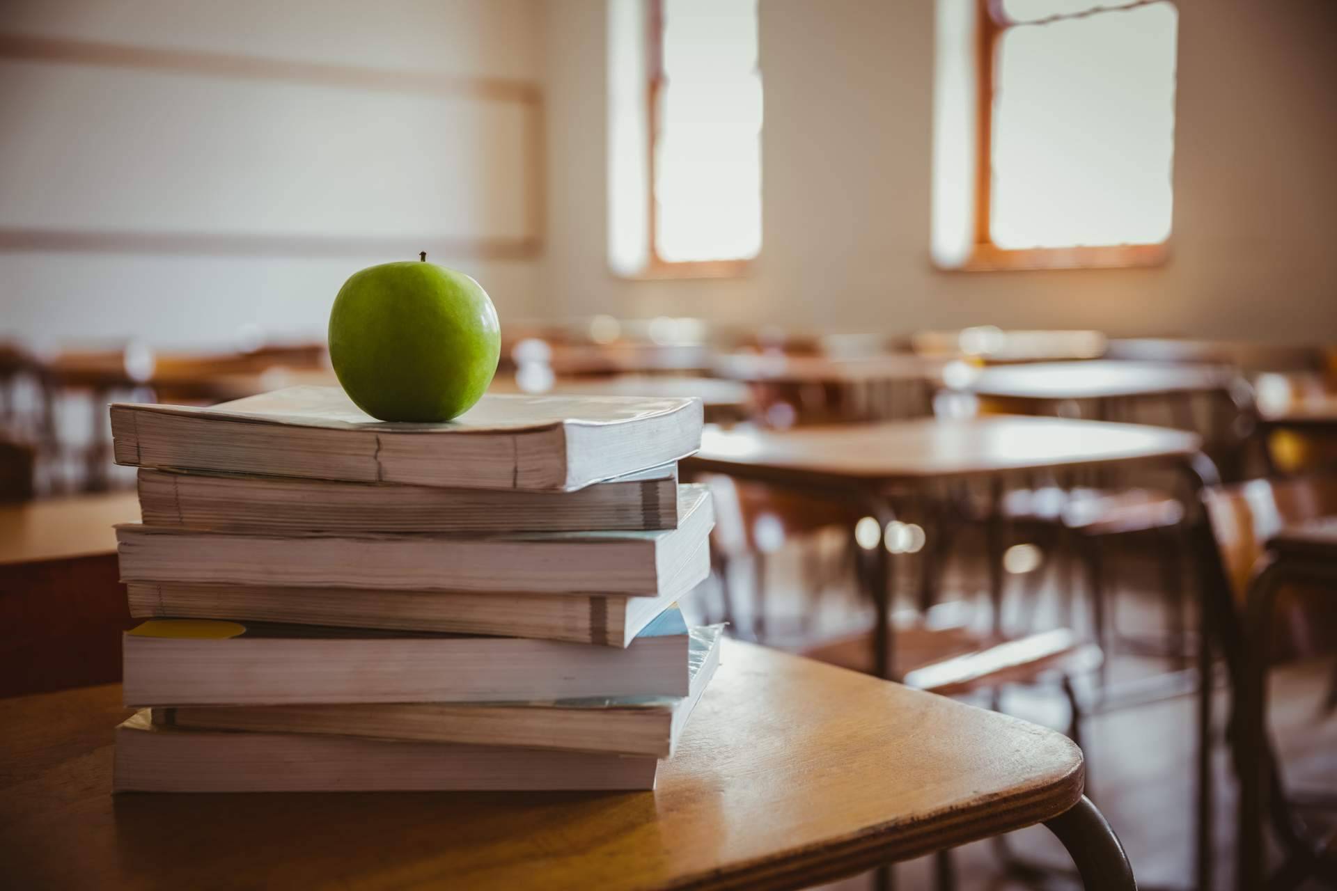 Metodología flexible y calidad educativa; las claves del éxito del Instituto Superior Europeo de Barcelona
