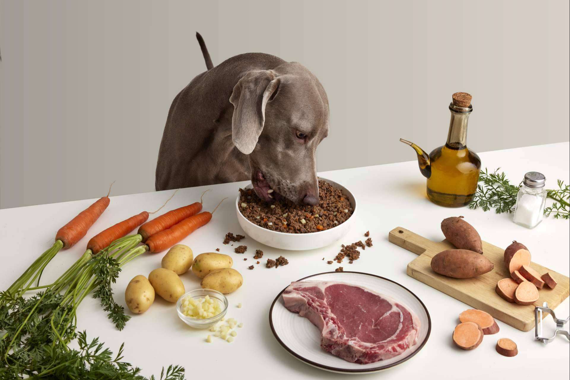 Dogfy Diet impulsa la alimentación saludable con comida natural para perros en España