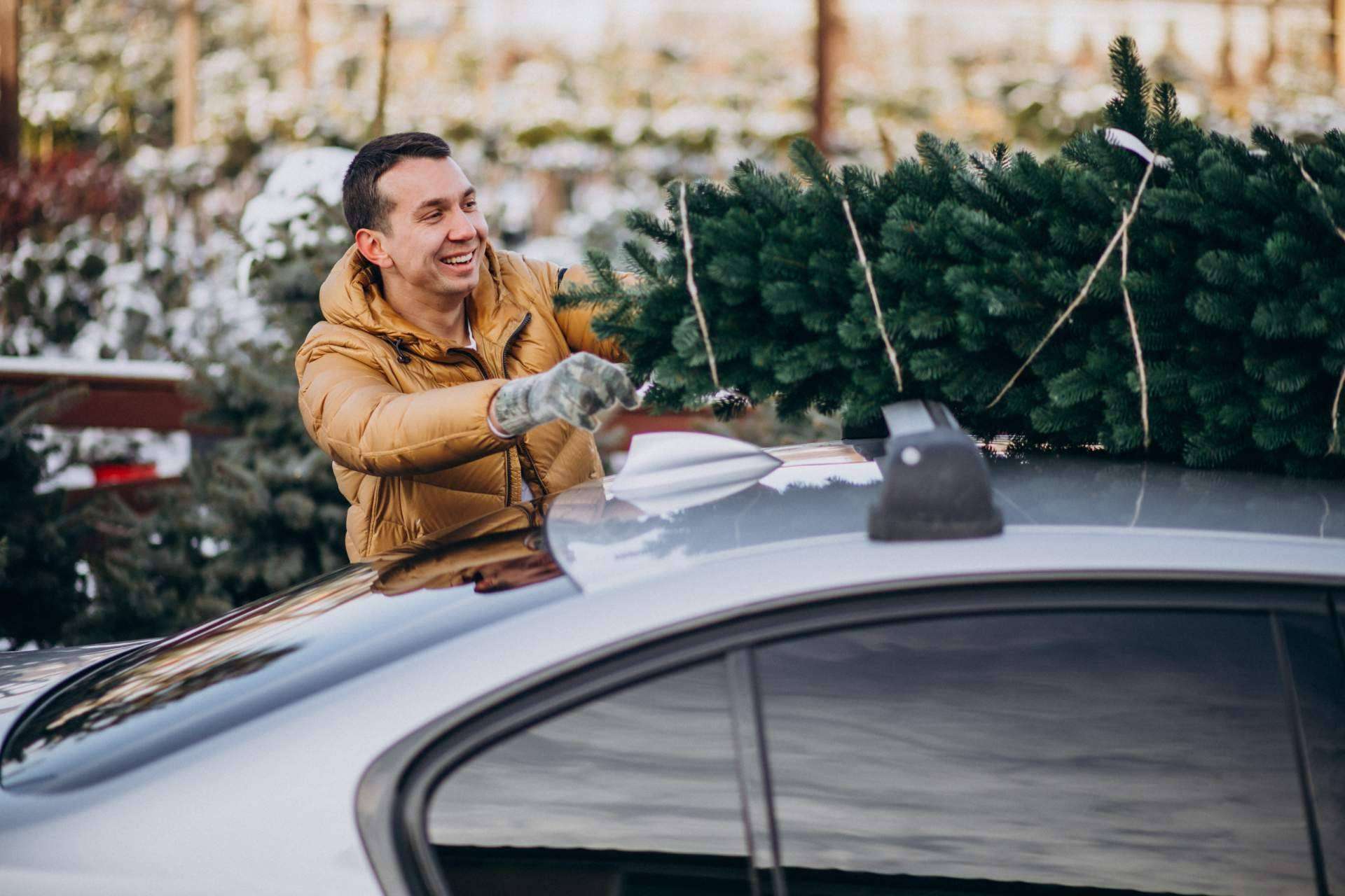 Seguridad vial en Navidad, recomendaciones de abogados expertos para evitar accidentes