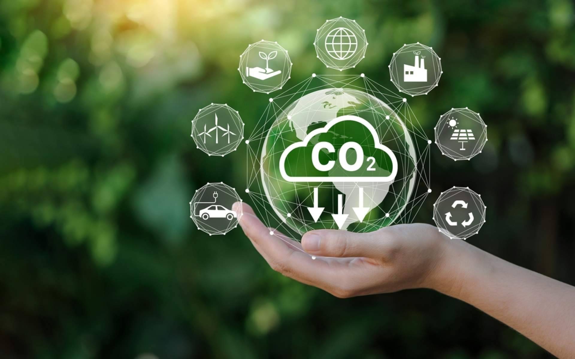 Viajar con menos impacto, la huella de carbono en el turismo y cómo compensarla