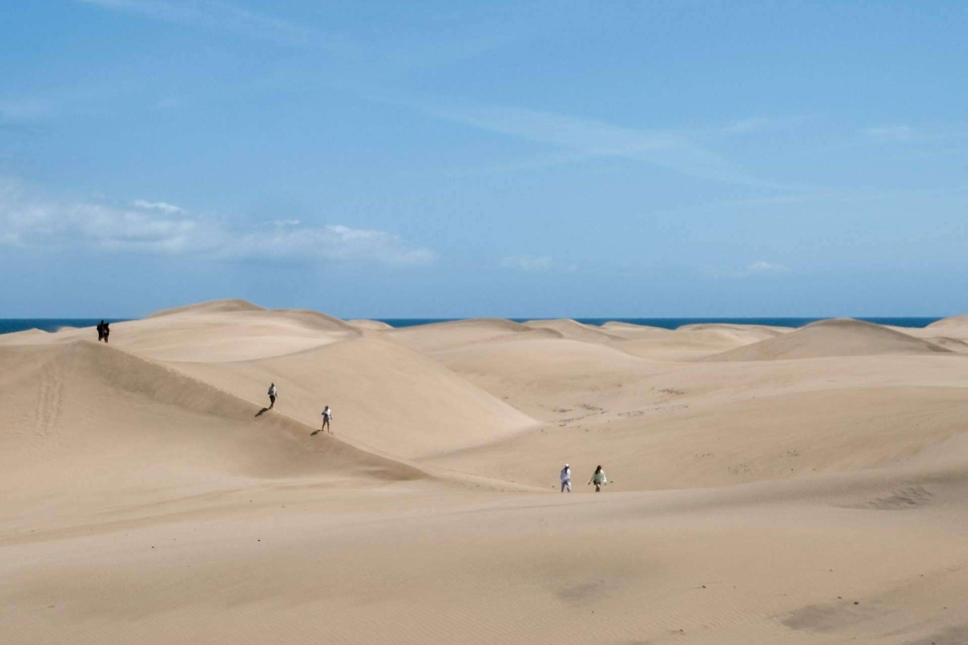 Canarias, un destino musical para todo el año
