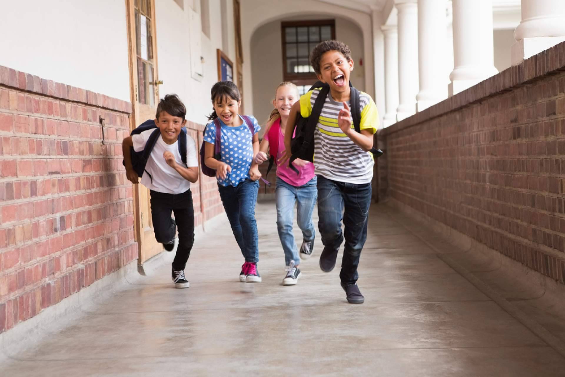 Clases online, método propio y fluidez real; así trabaja Mad English