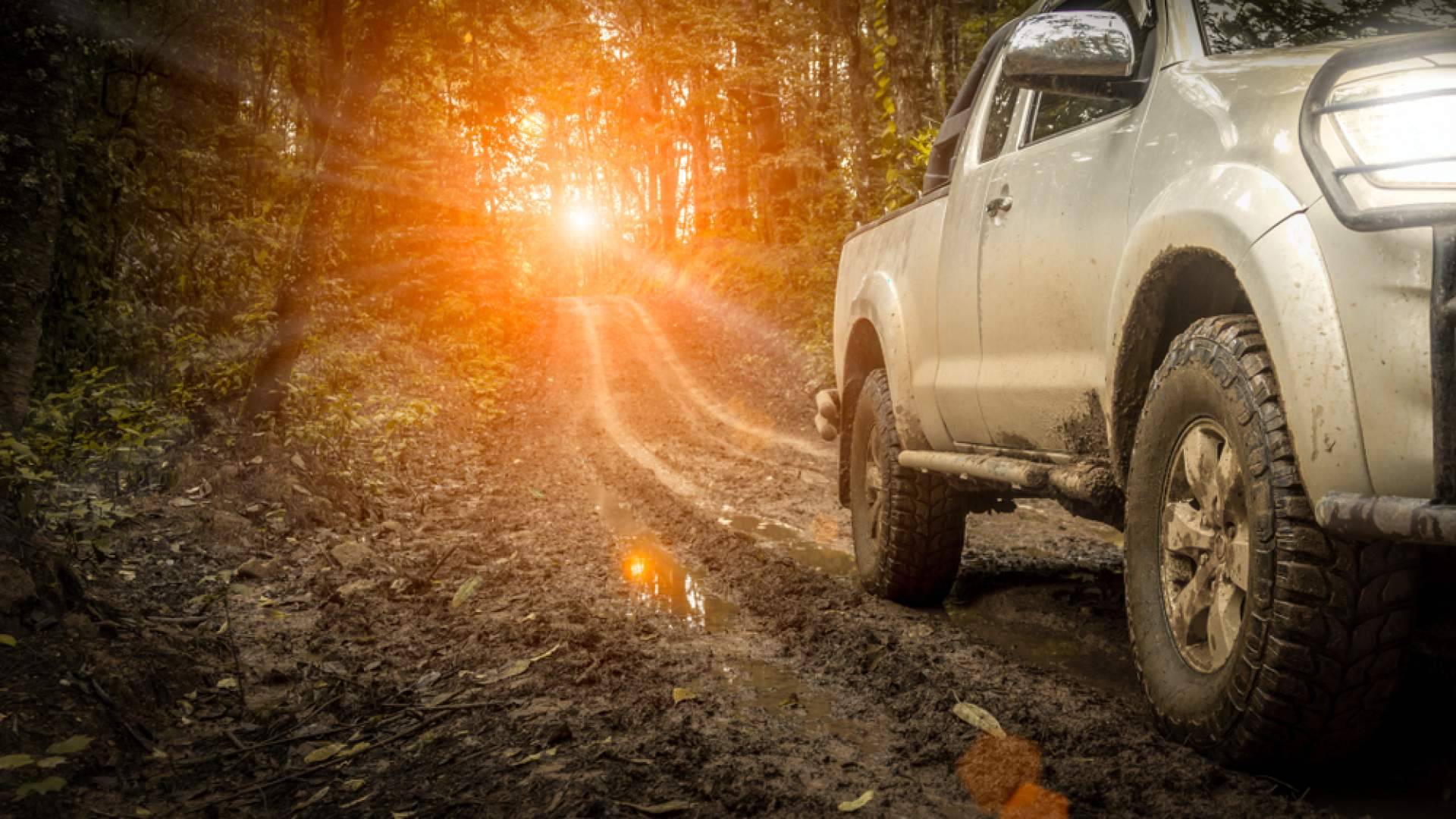 Neumáticos Fedima, confianza todoterreno para condiciones extremas