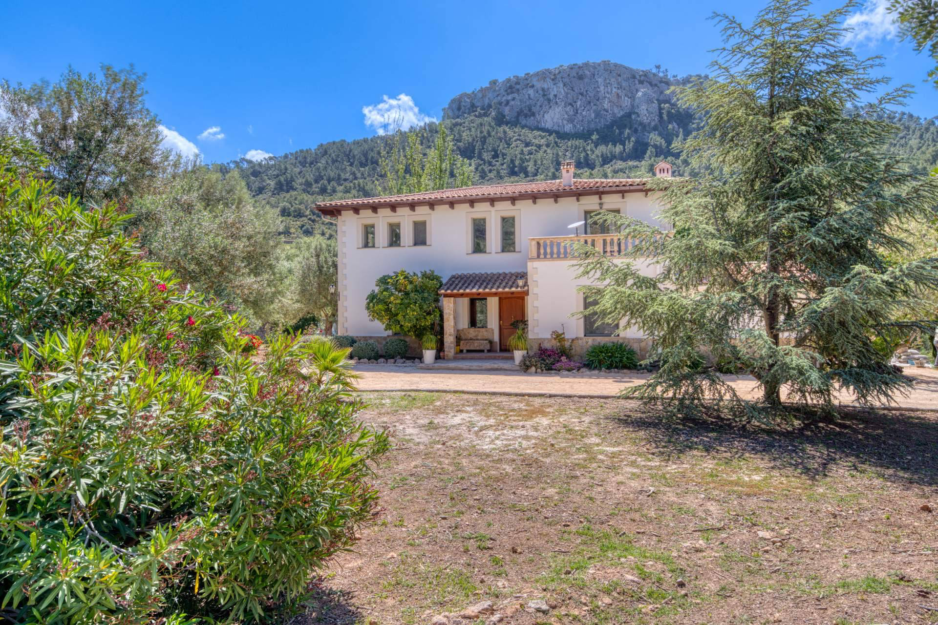 Lovian Properties consolida su modelo de inmobiliaria de lujo en Santa Ponsa, Mallorca