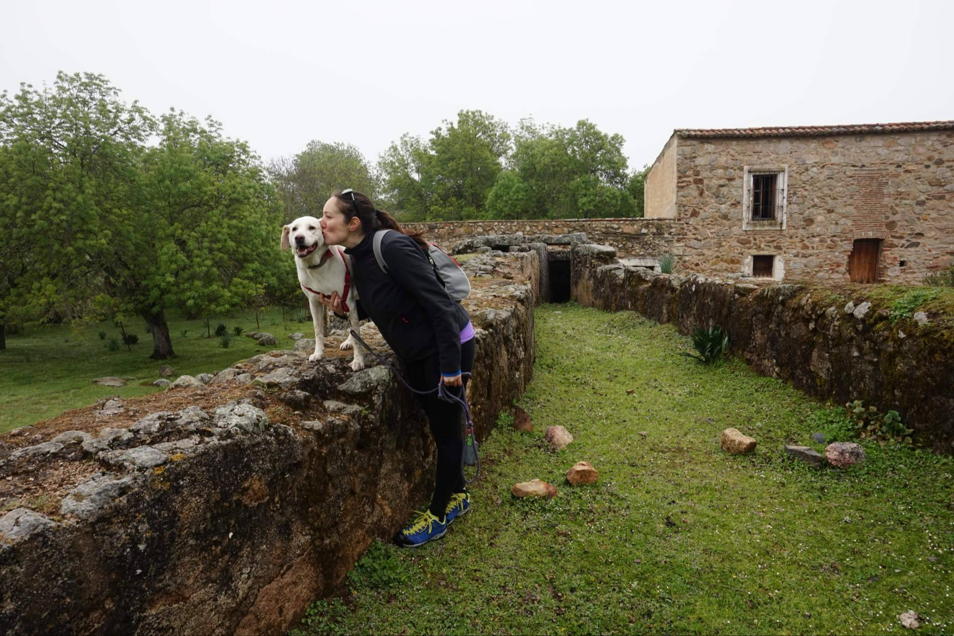 DogInquieta convierte a Extremadura en el destino líder del turismo rural pet-friendly en España