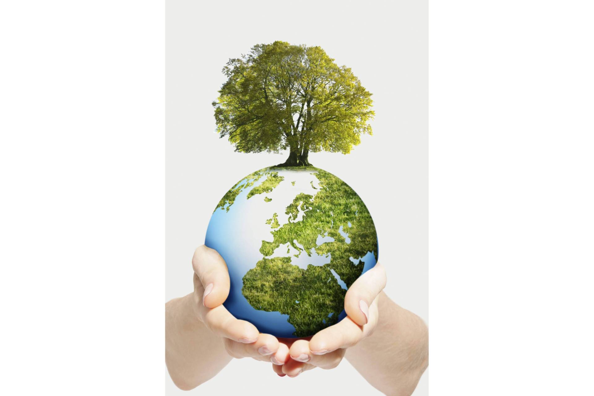 ISOTools facilita la transición hacia ISO 14001.2026 con una plataforma preparada para los nuevos requisitos
