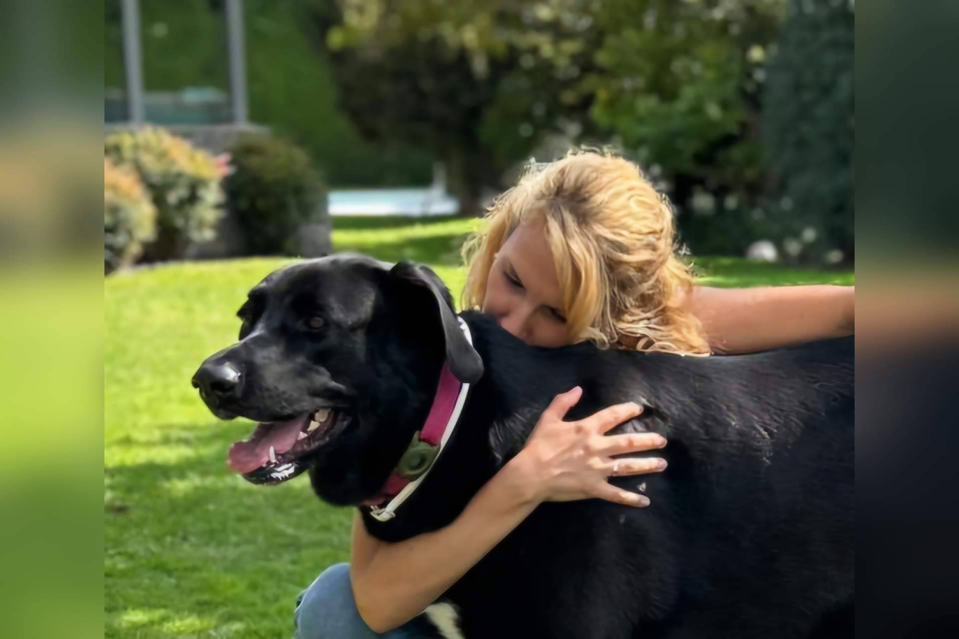 Referentes en adiestramiento canino en Madrid; la experiencia de Cole de Canes