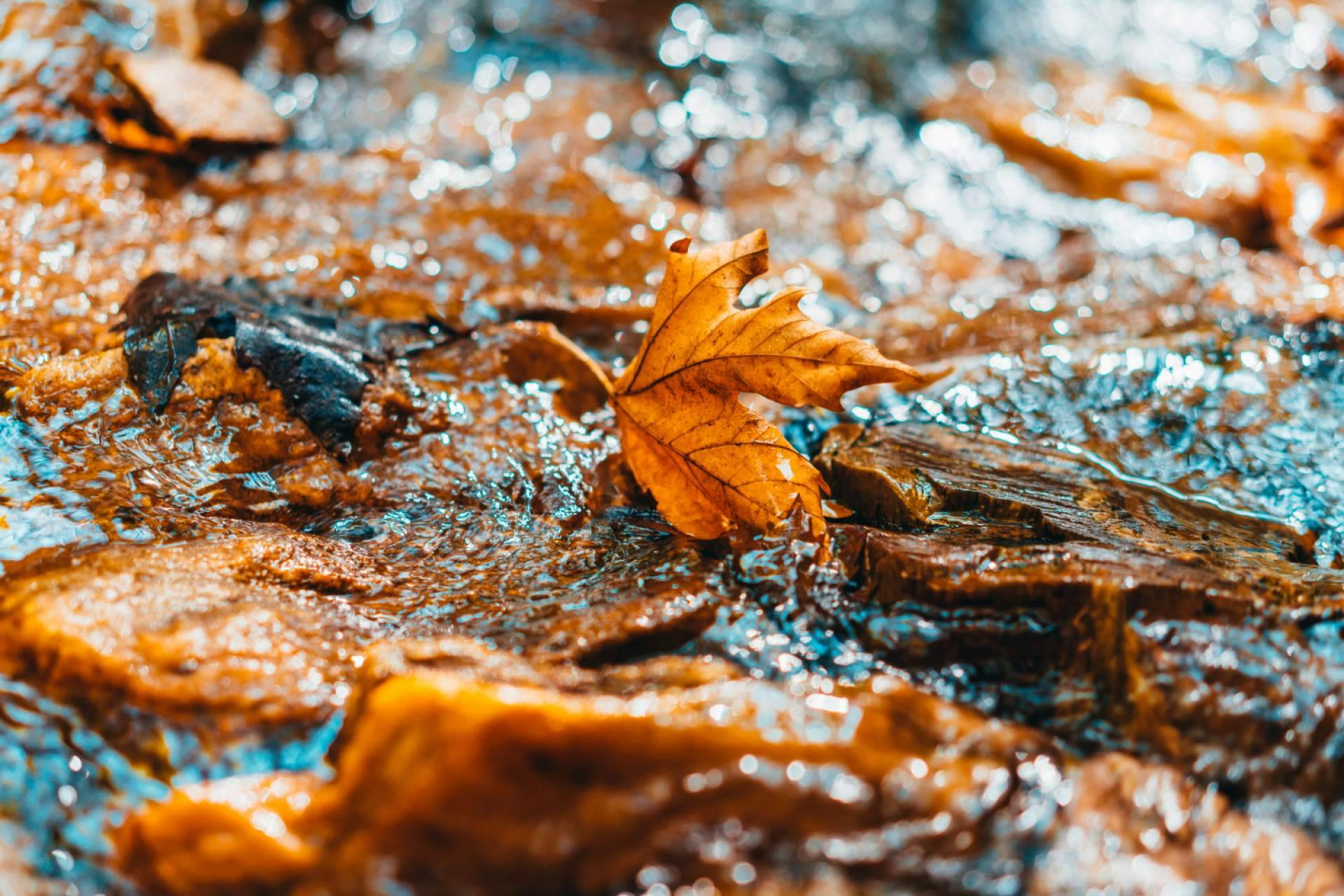 Cómo prevenir y tratar las humedades en otoño; guía práctica
