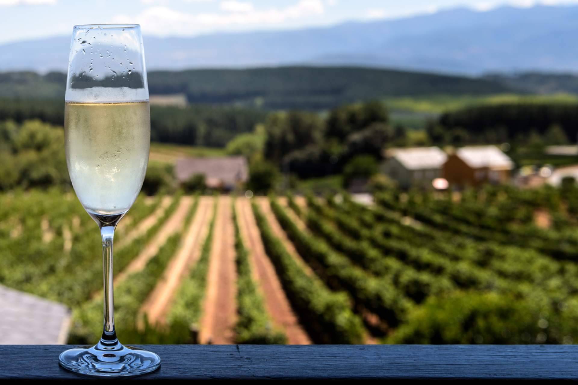 Reconocimiento internacional para los cavas que ofrece Naturelovers Wines