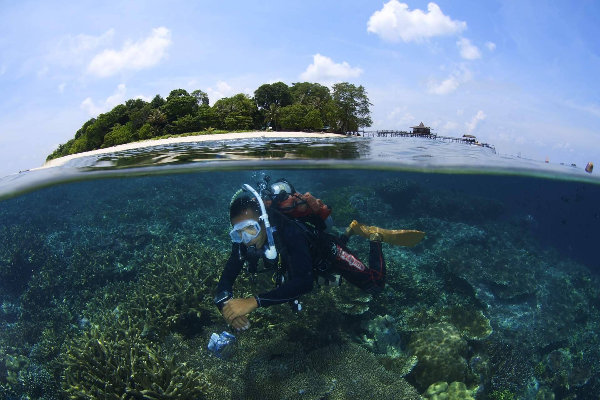 BORNEO; El lujo silvestre de Sabah, corazón de una isla mágica