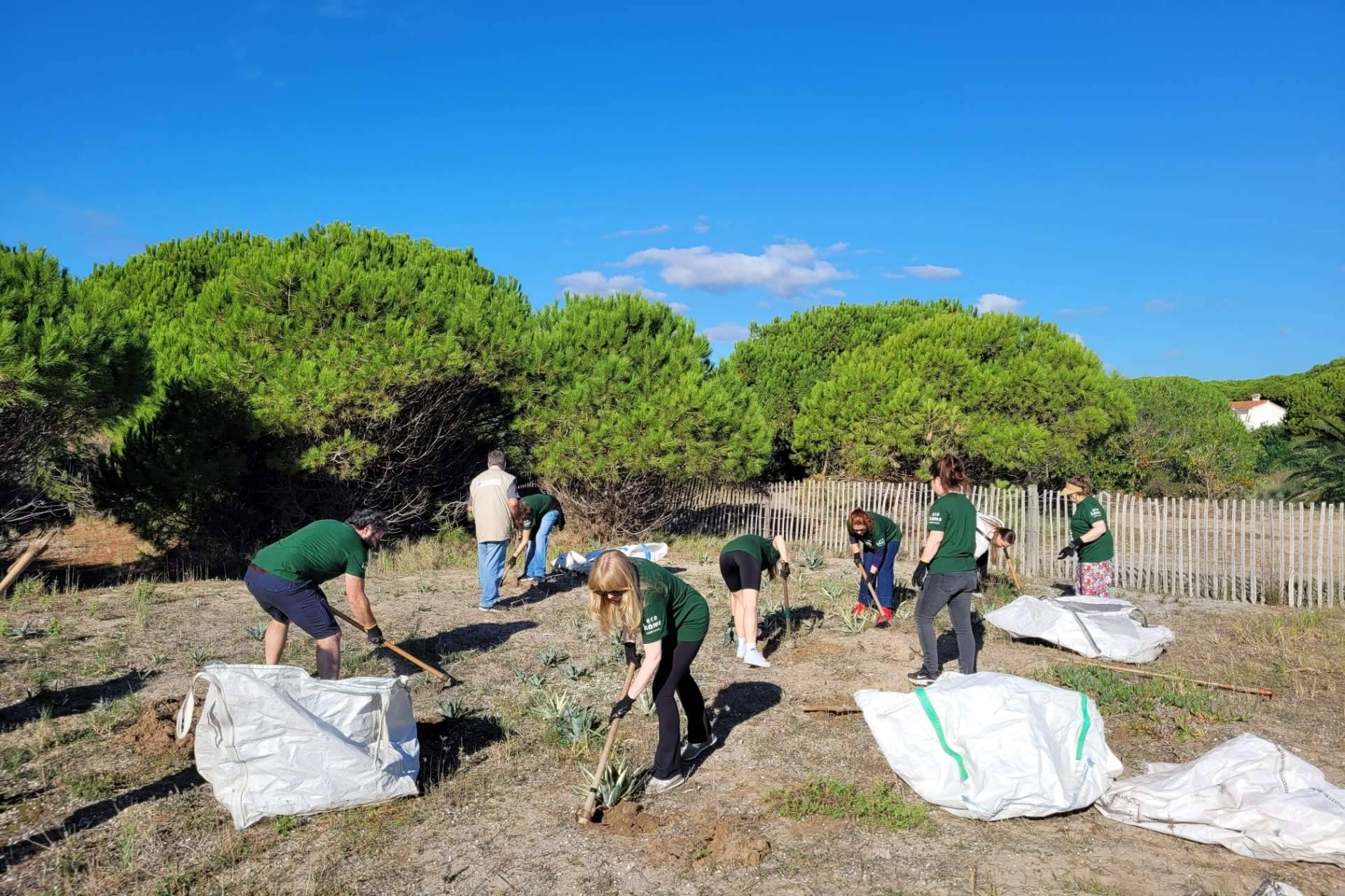 El equipo de sostenibilidad de Interhome colabora en la restauración del Delta del Llobregat